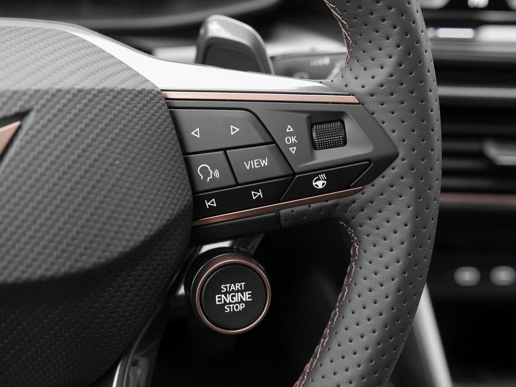 CUPRA Formentor VZ 2.0TSI 245kW/333PS 7-Gang-DSG 4Drive CAL