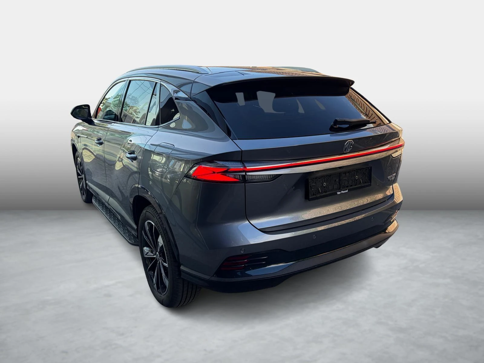 MG-EHS-image-3
