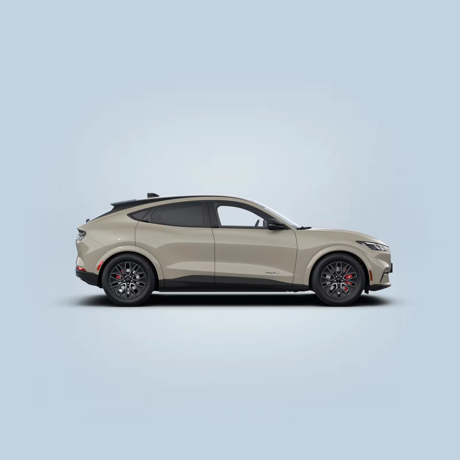 Ford-Mustang Mach-E-image-2