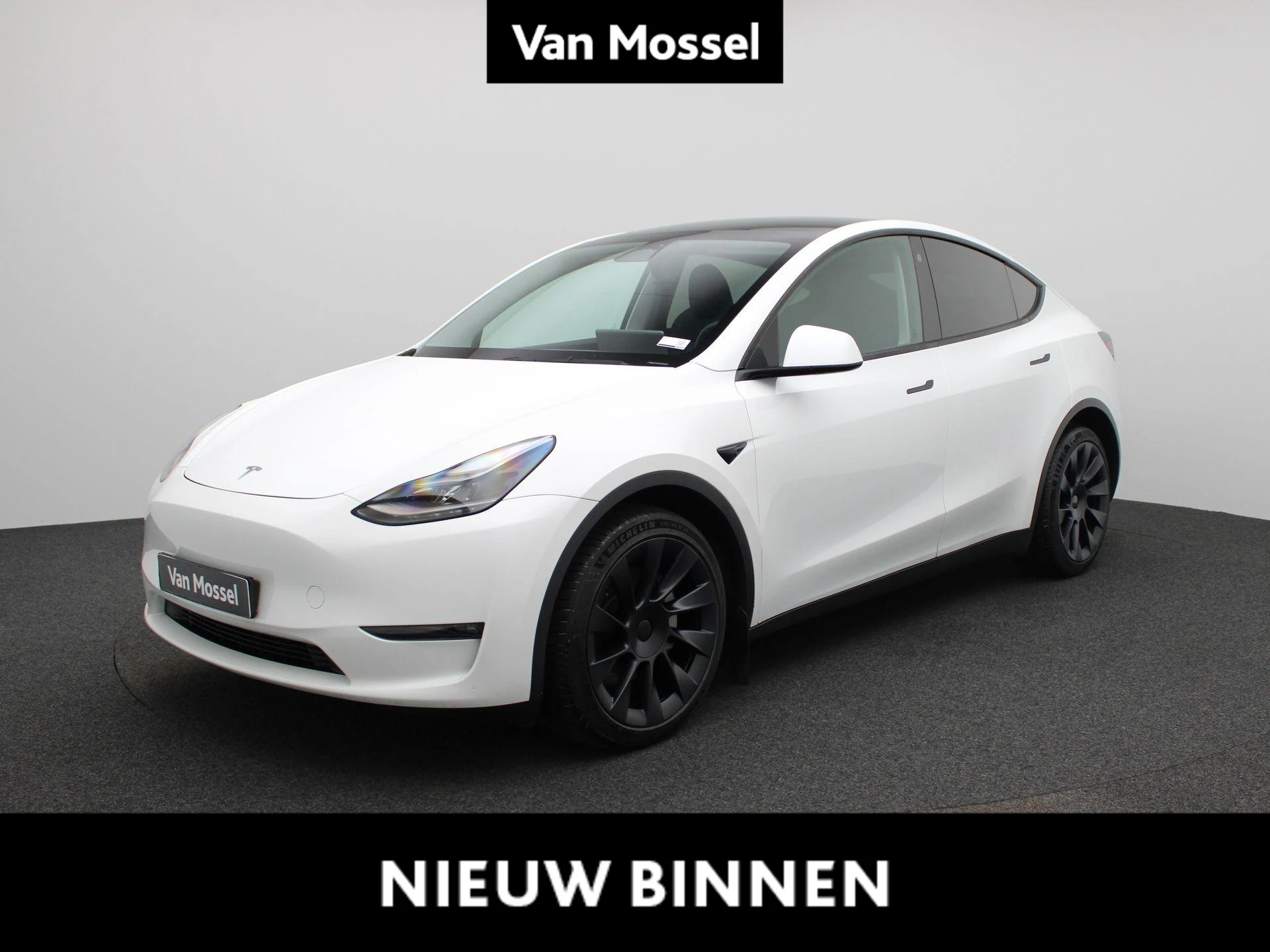 Tesla-Model Y-image-0