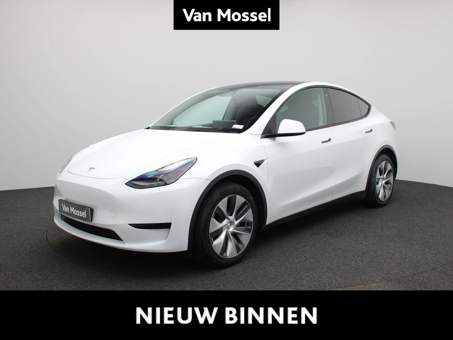 Tesla-Model Y-image-0
