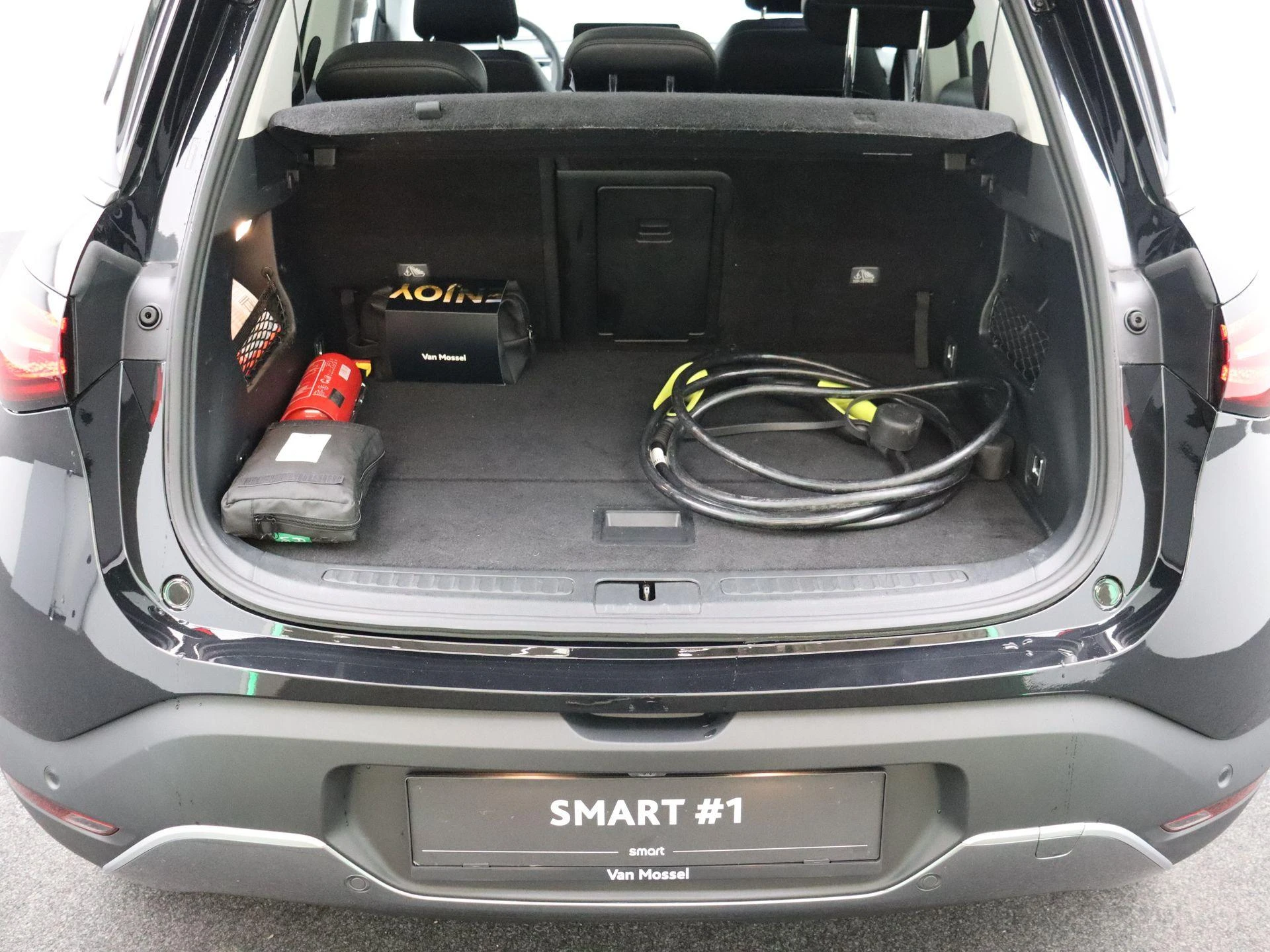 smart #1 Pulse