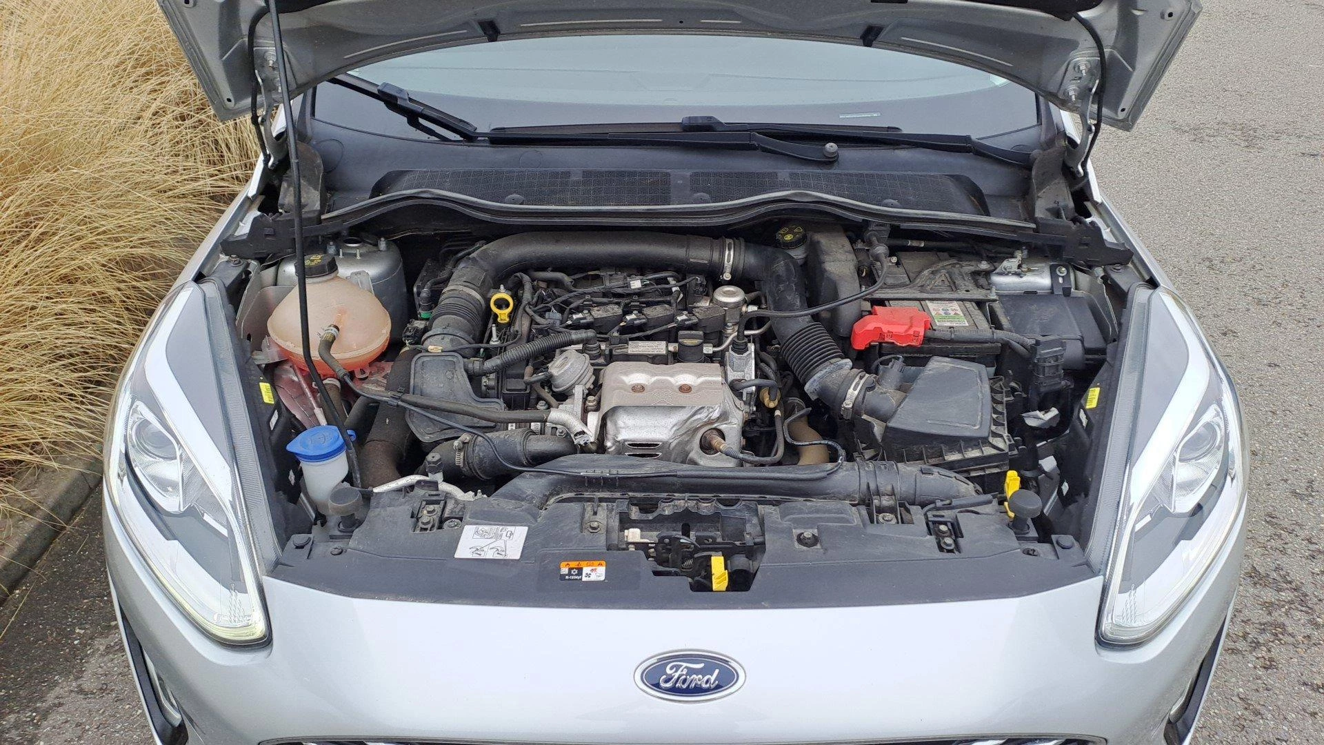Ford-Fiesta-image-9