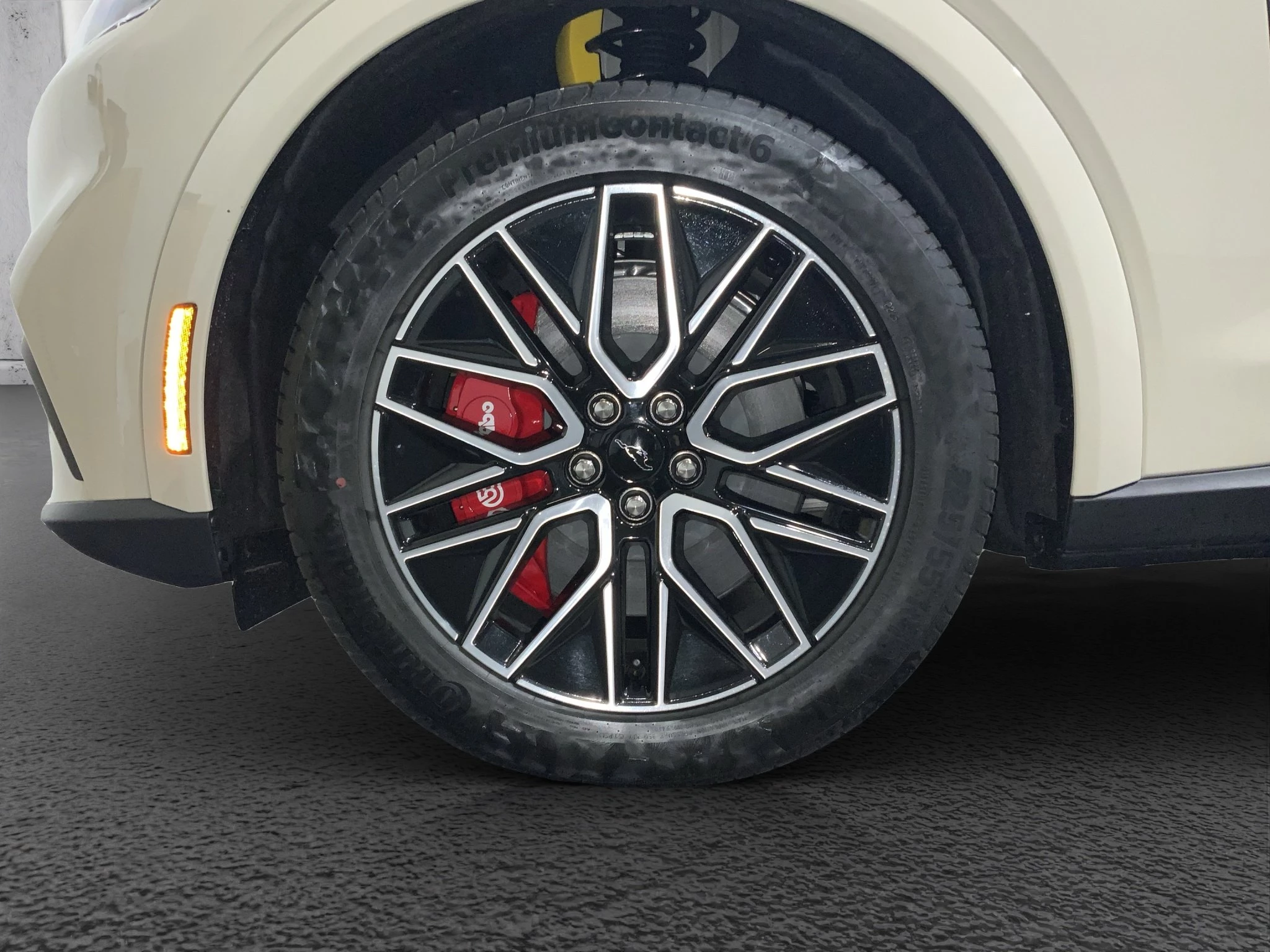 Ford-Mustang Mach-E-image-8