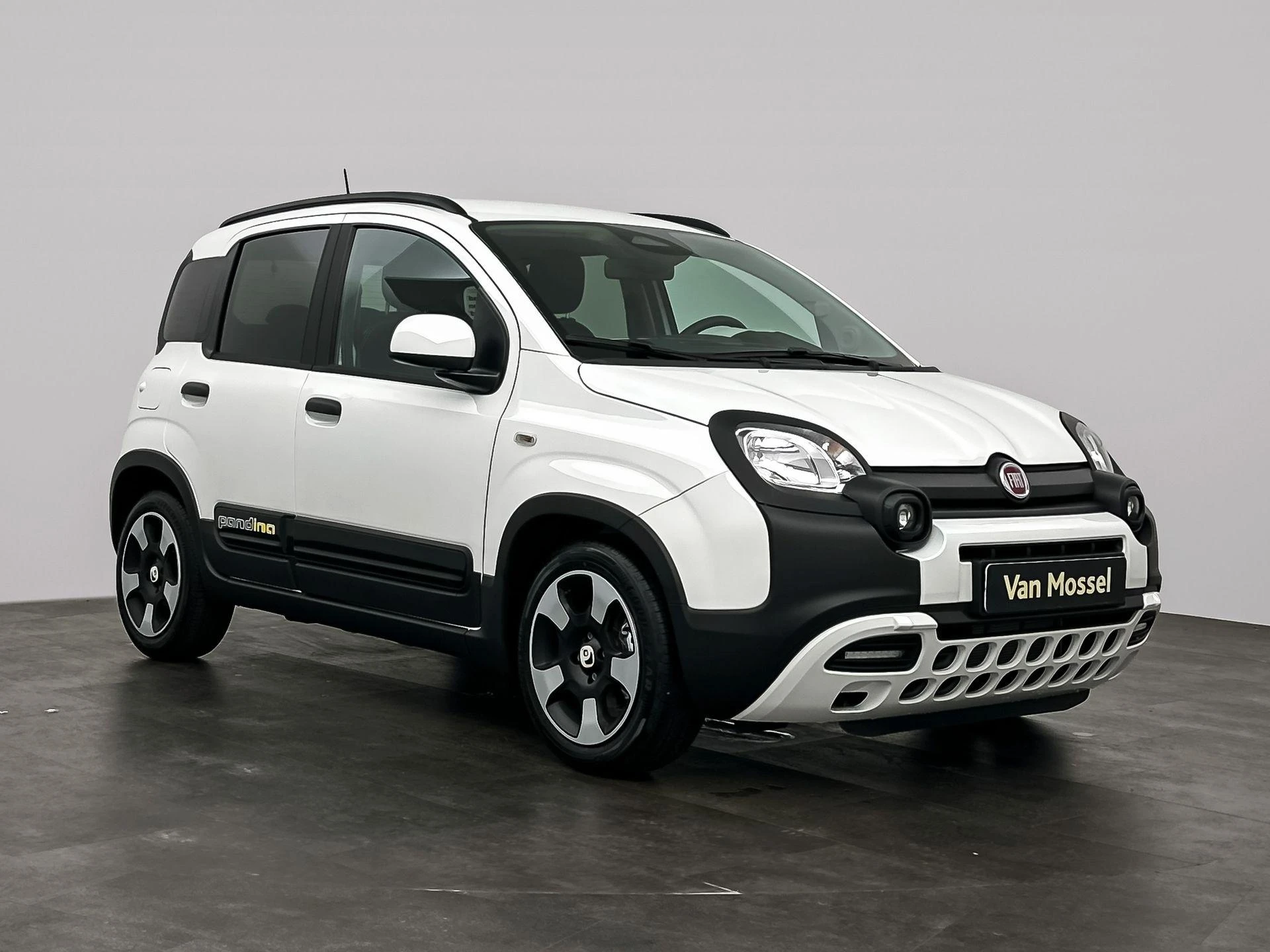 Fiat-Pandina-image-3