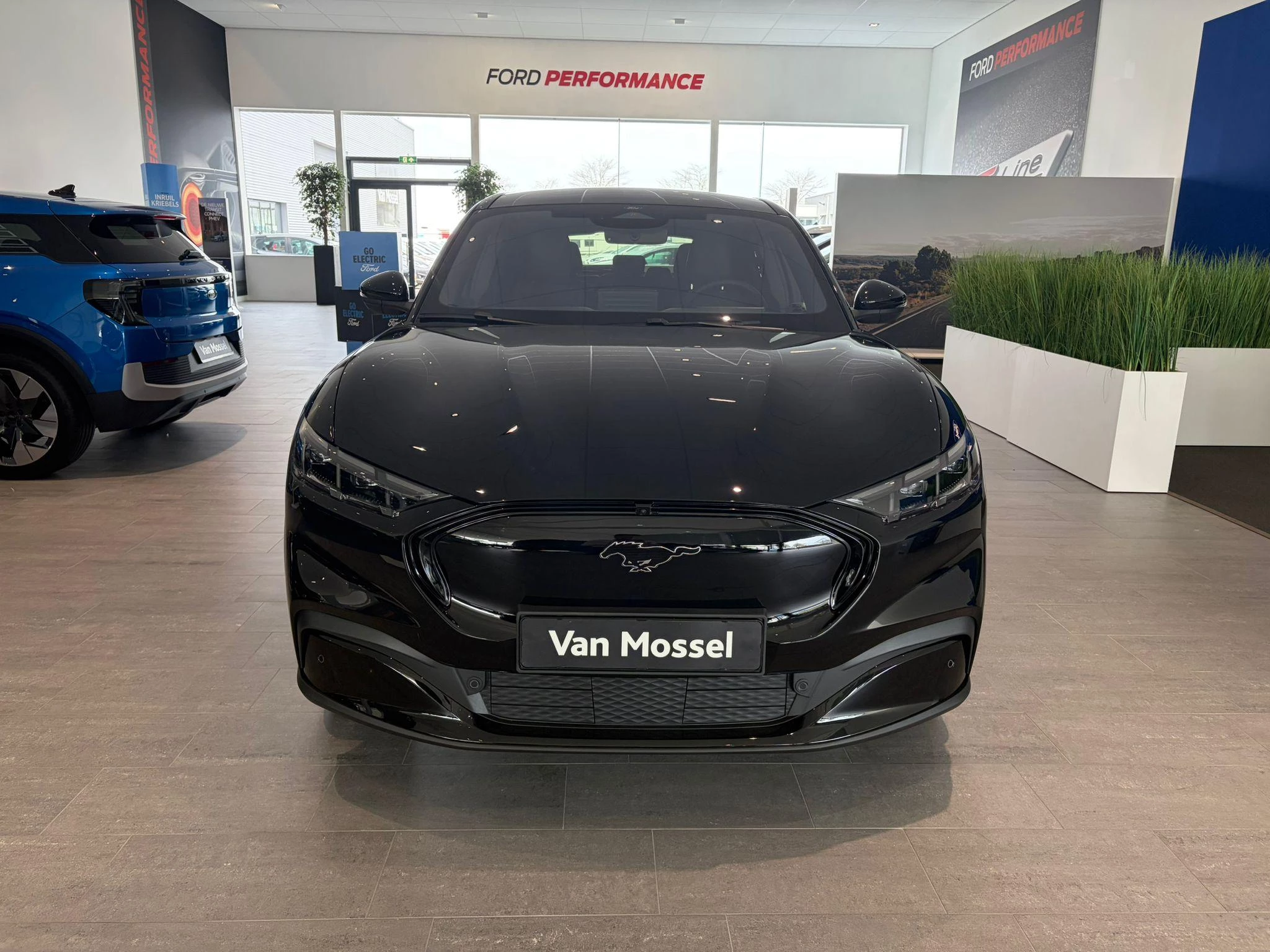 Ford-Mustang Mach-E-image-1