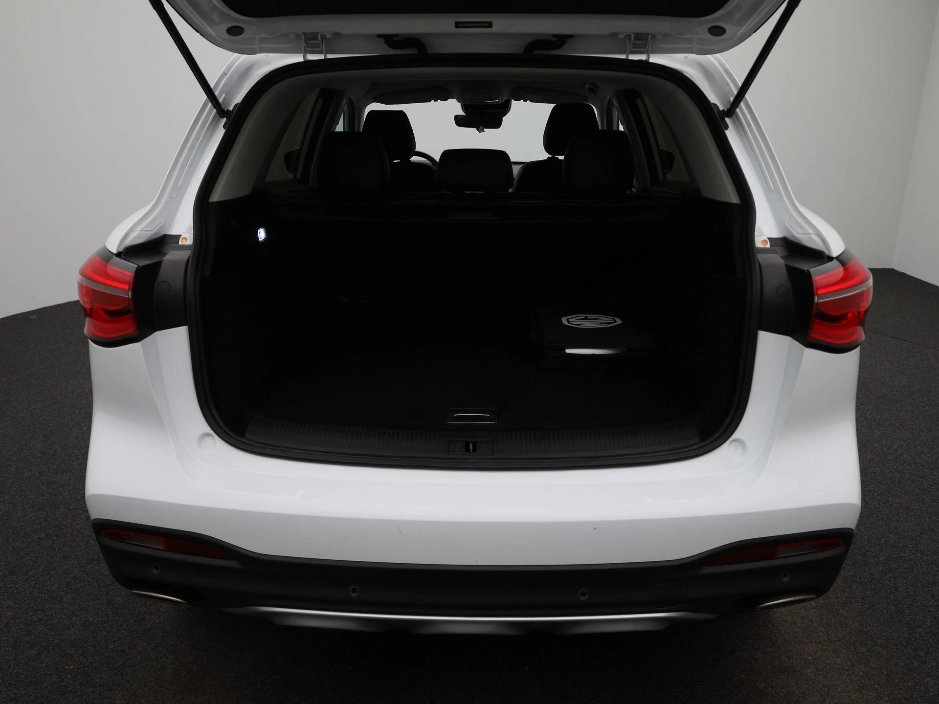 MG-EHS-image-11