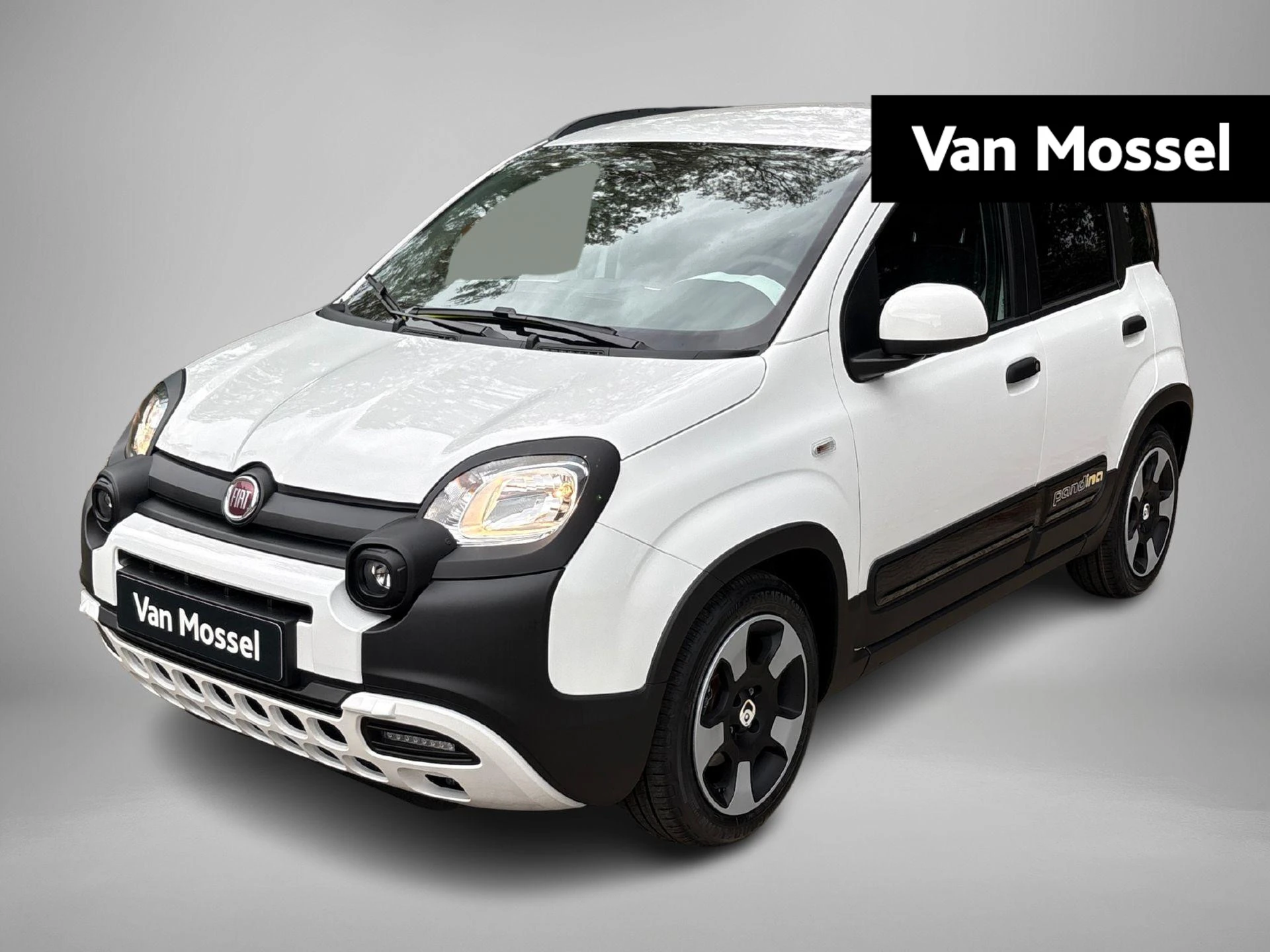 Fiat-Pandina-image-0