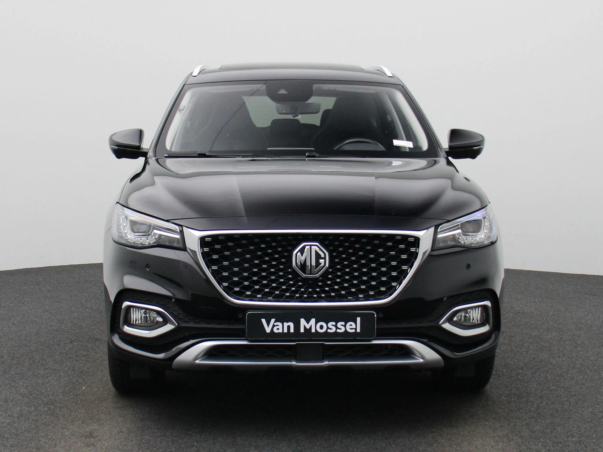 MG-EHS-image-2