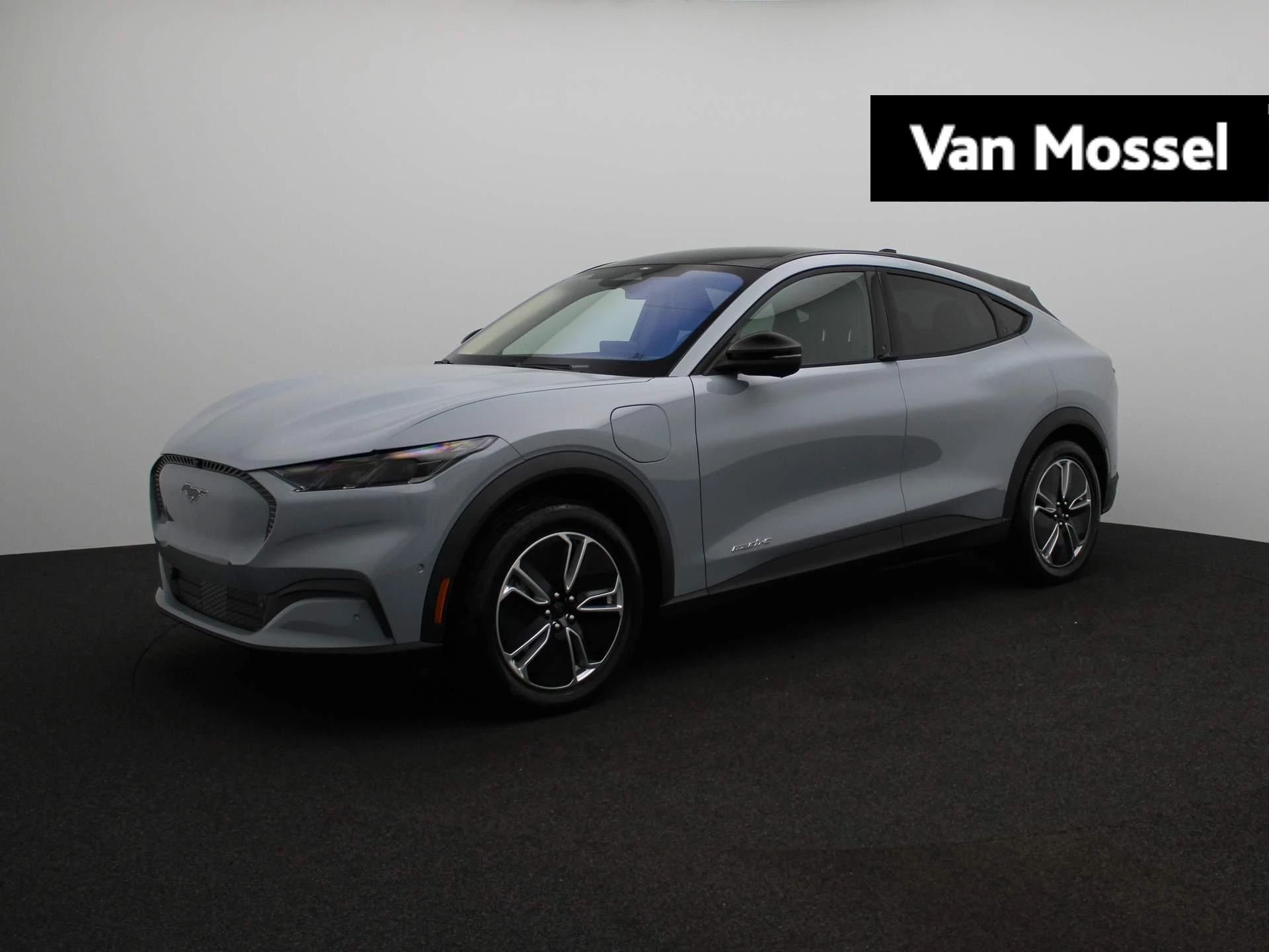 Ford-Mustang Mach-E-image-0