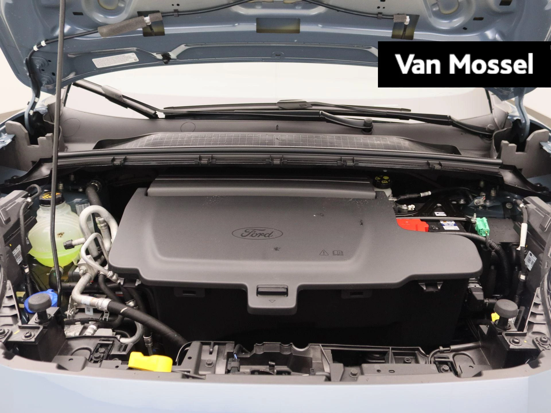 Ford-Puma Gen-E-image-0