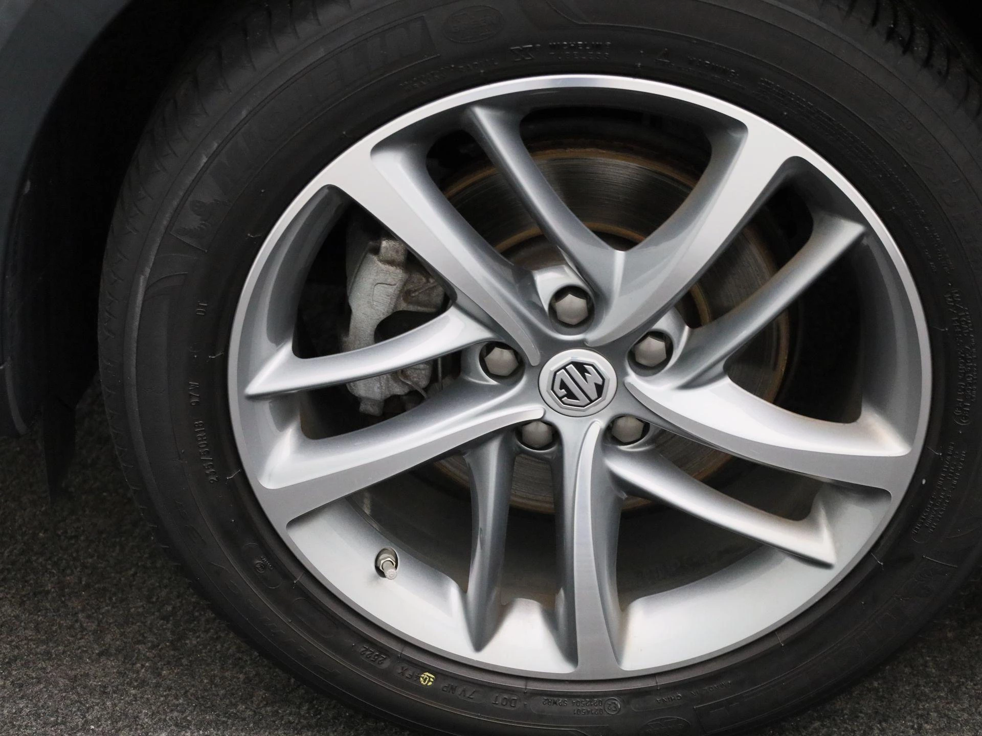 MG-EHS-image-13