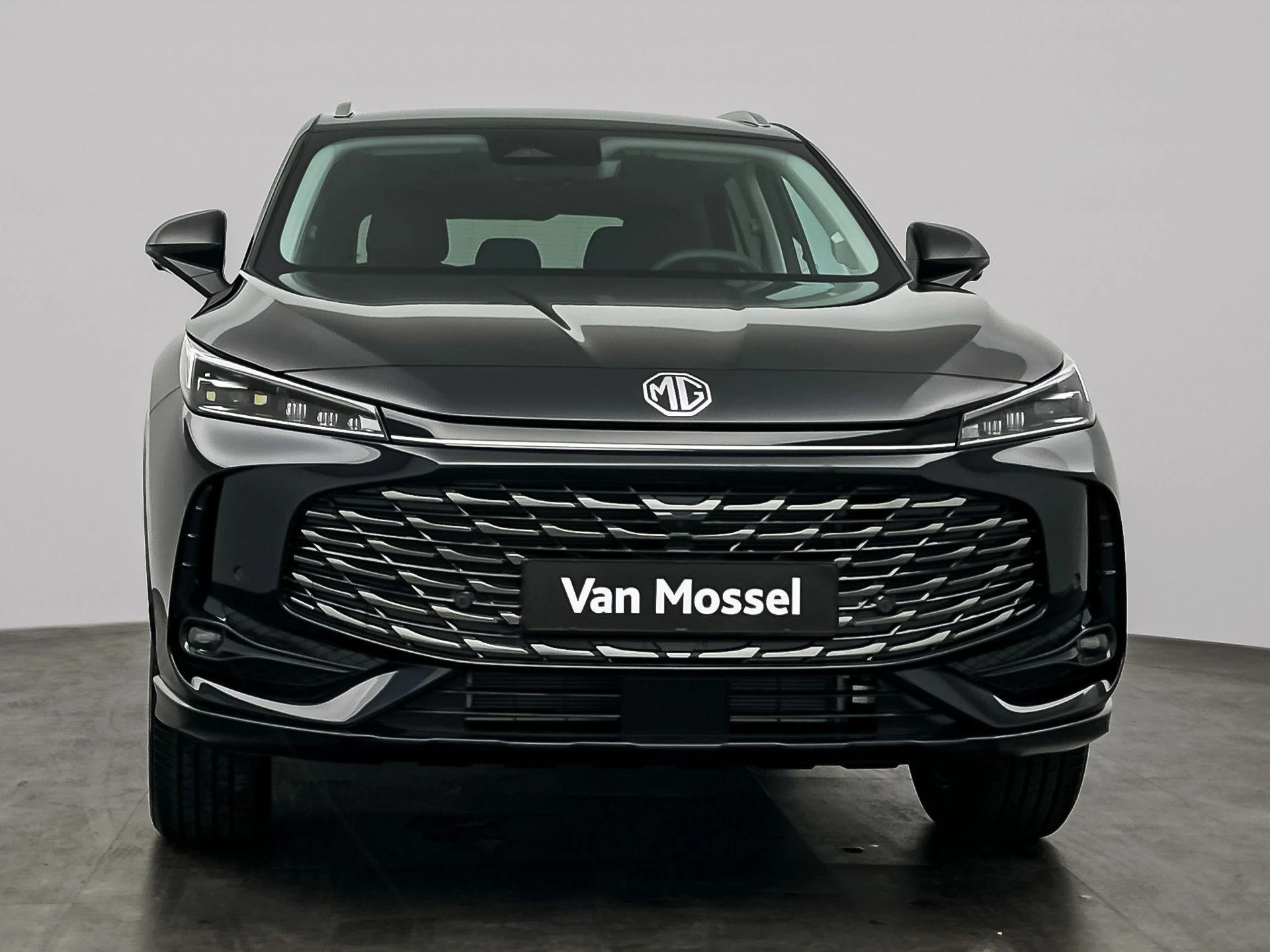 MG-HS-image-2
