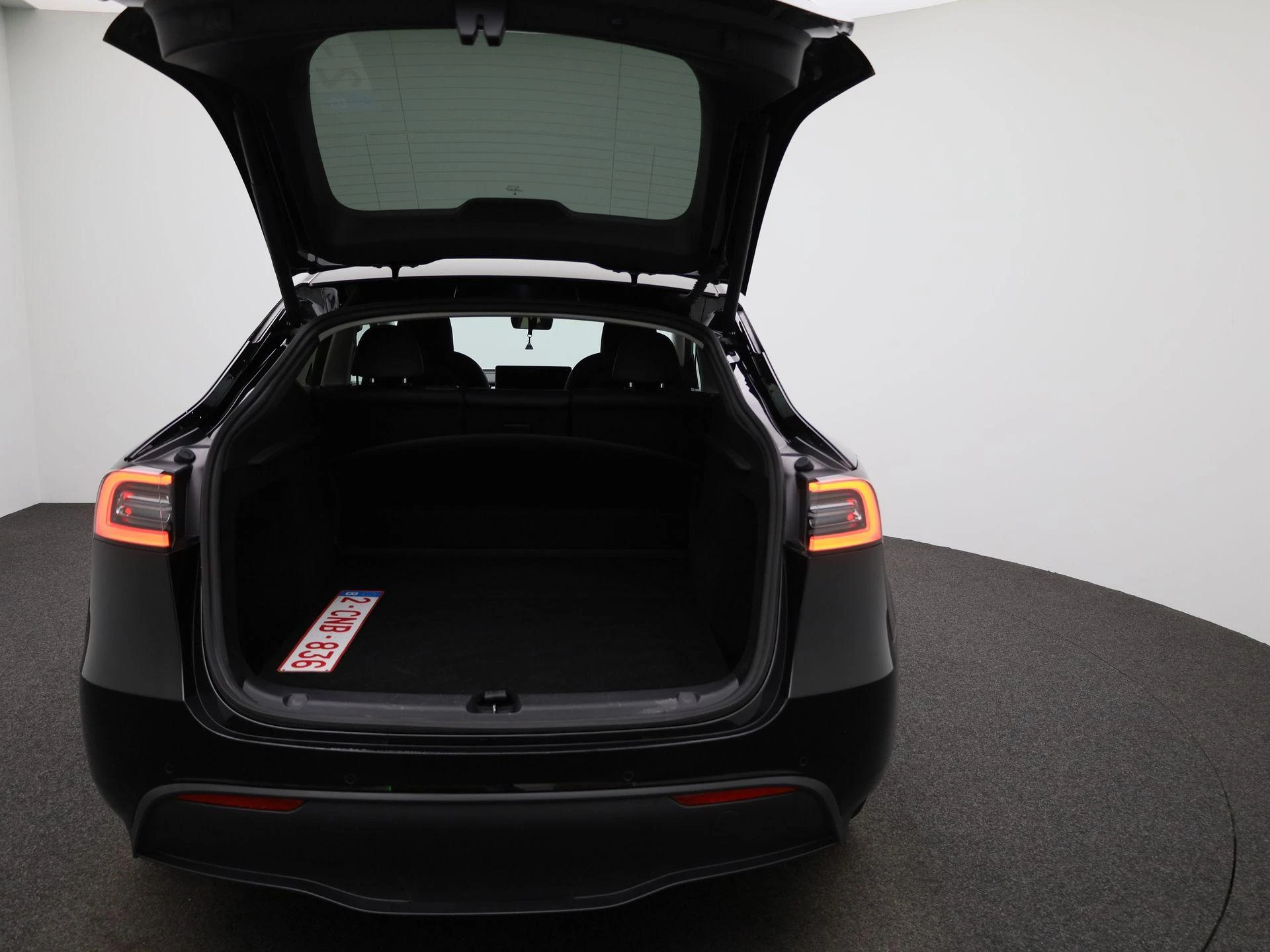 Tesla-Model Y-image-10