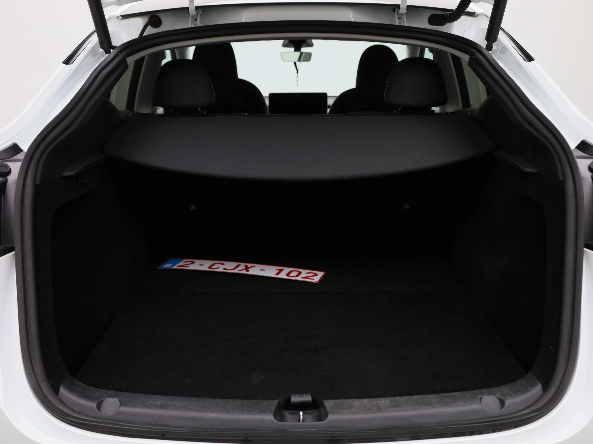 Tesla-Model Y-image-11