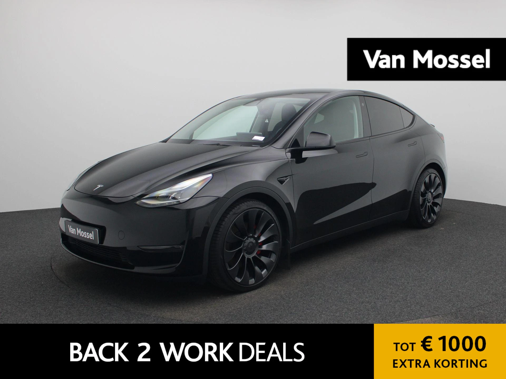Tesla-Model Y-image-0