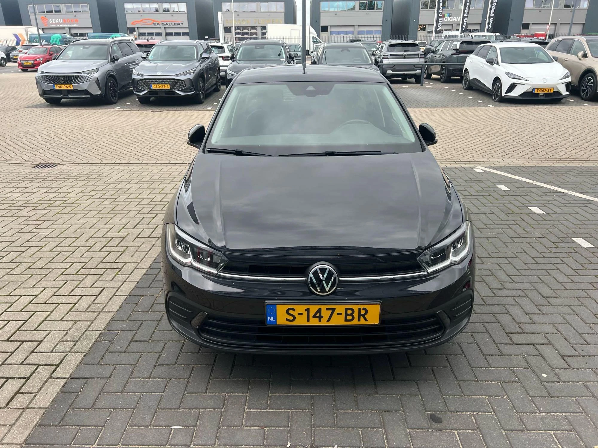 Volkswagen-Polo-image-4