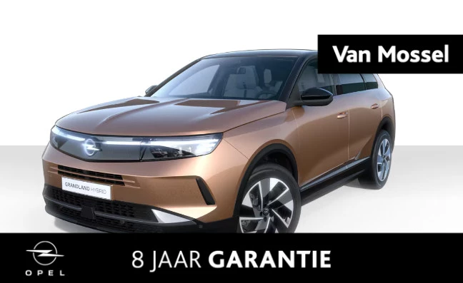 Opel-Grandland-image-0