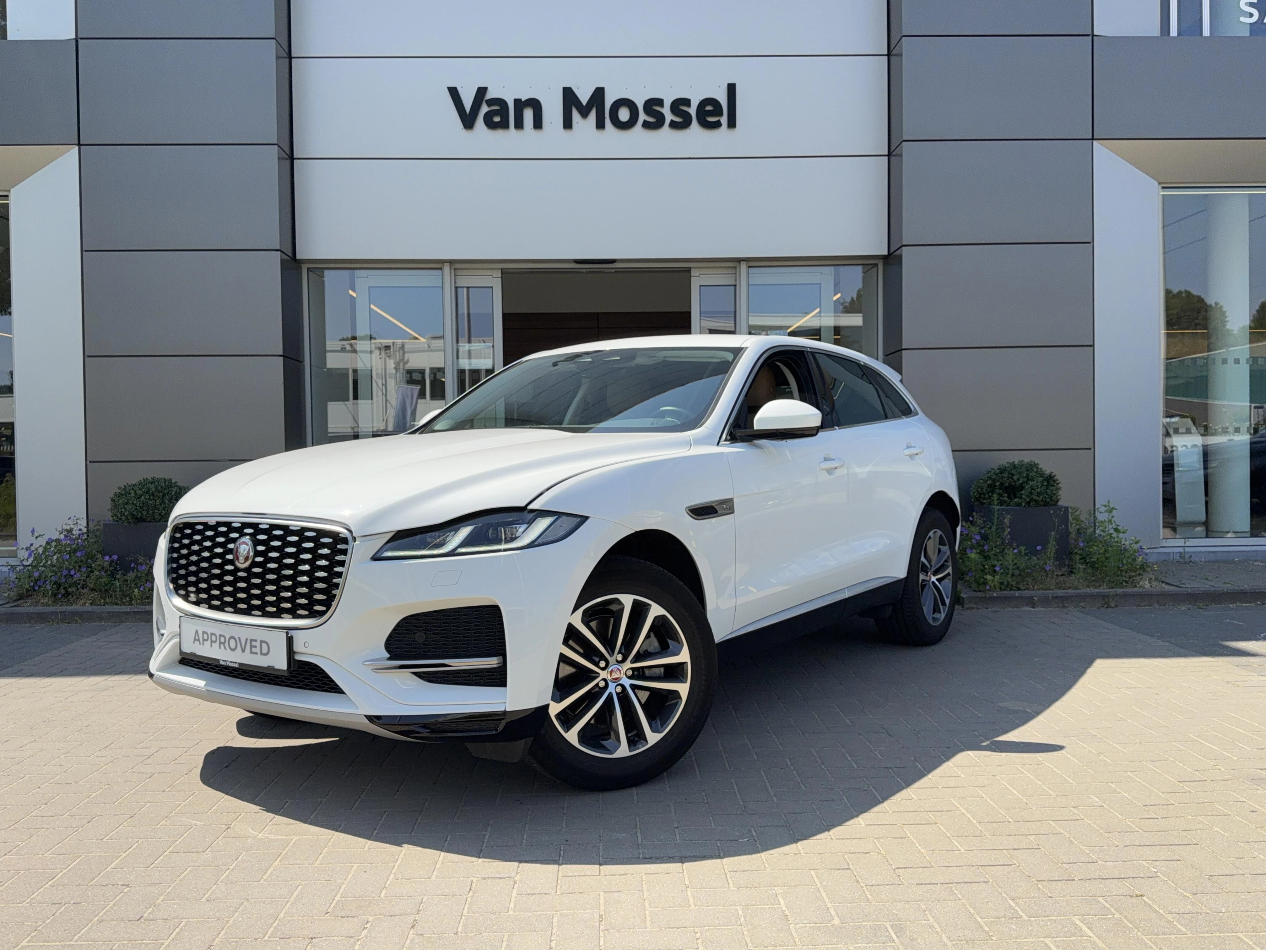 Jaguar-F-PACE-image-0