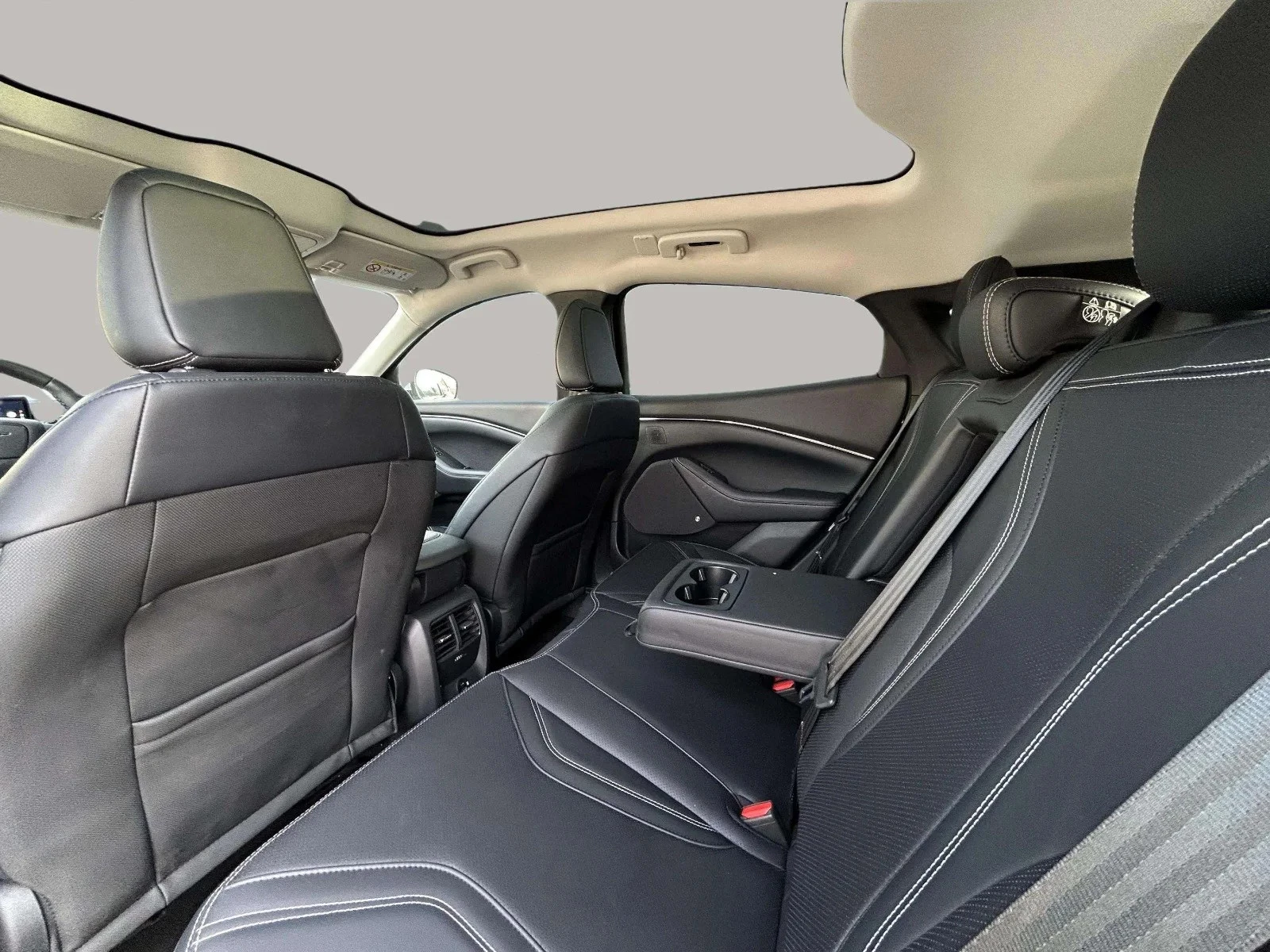 Ford-Mustang Mach-E-image-14