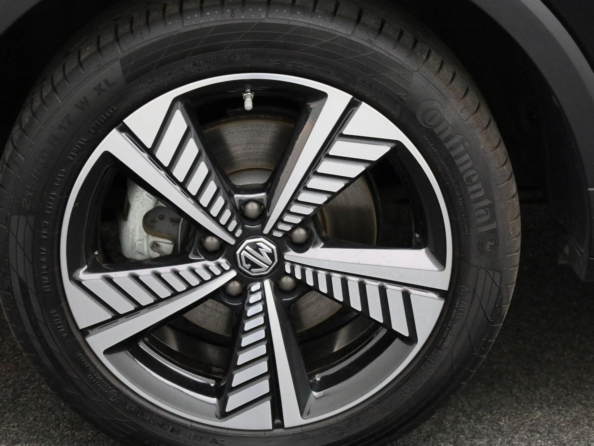 MG-ZS EV-image-13