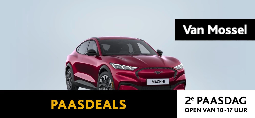 Ford-Mustang Mach-E-image-0