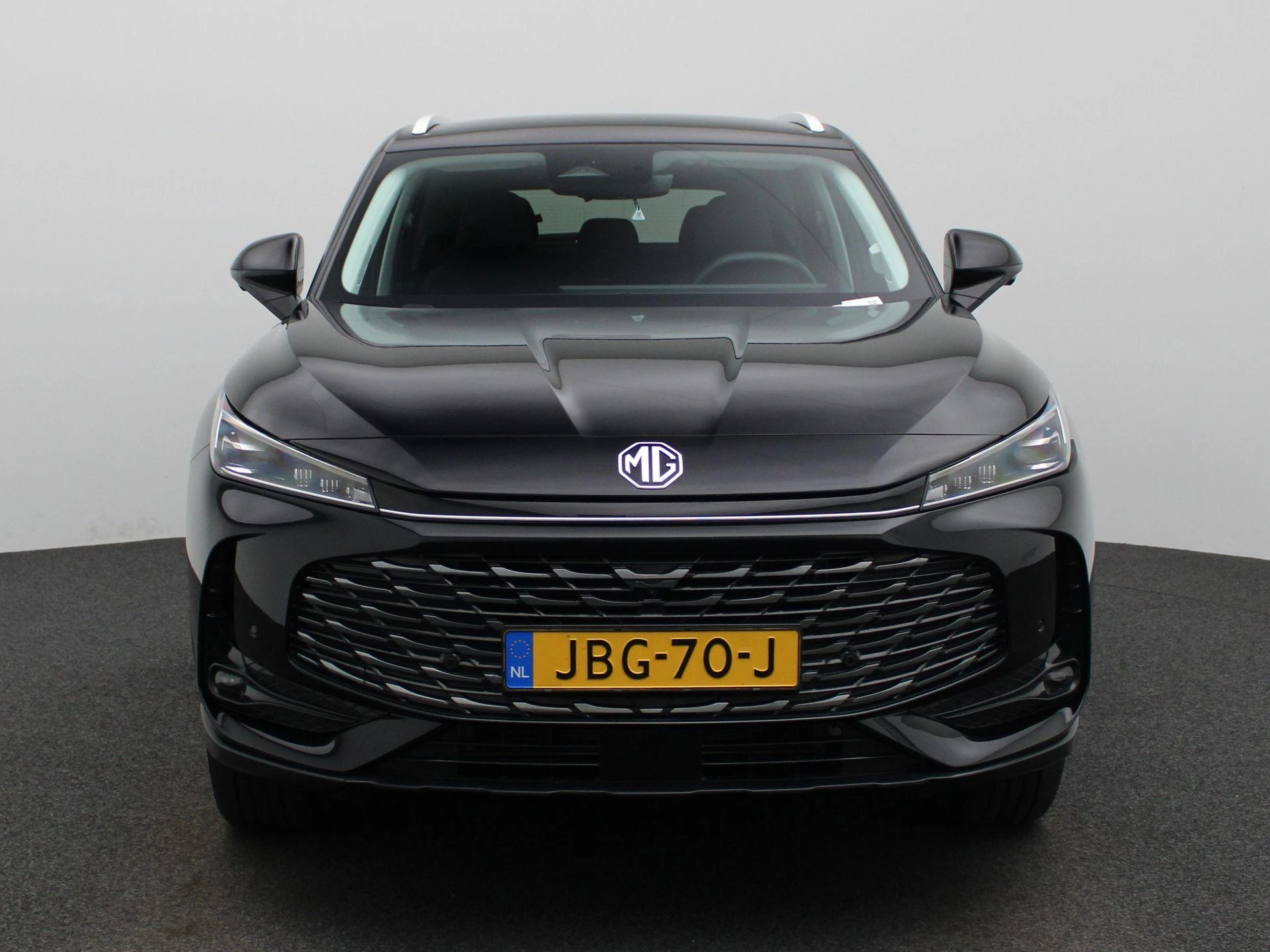MG-HS-image-2