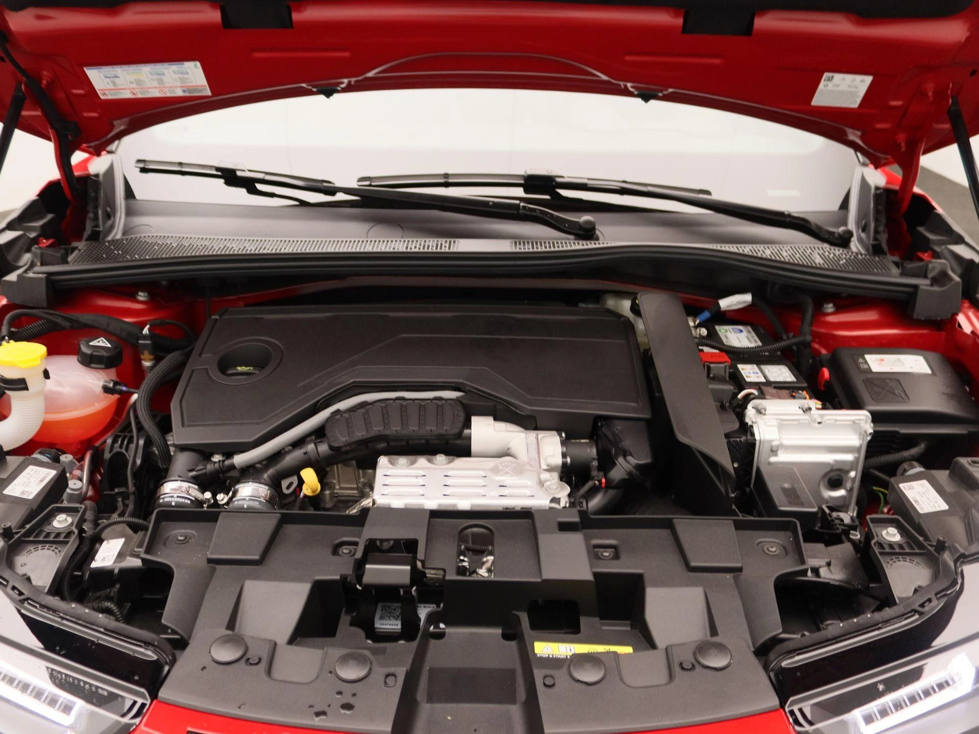 Alfa Romeo Junior 1.2 Turbo Hybrid Ibrida Sport Speciale
