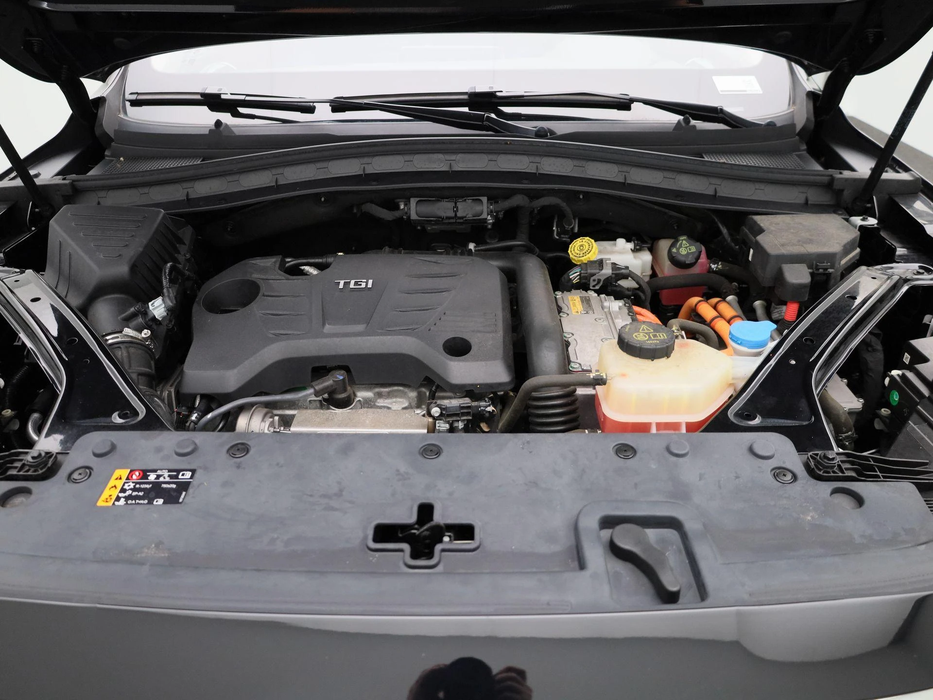 MG-EHS-image-35