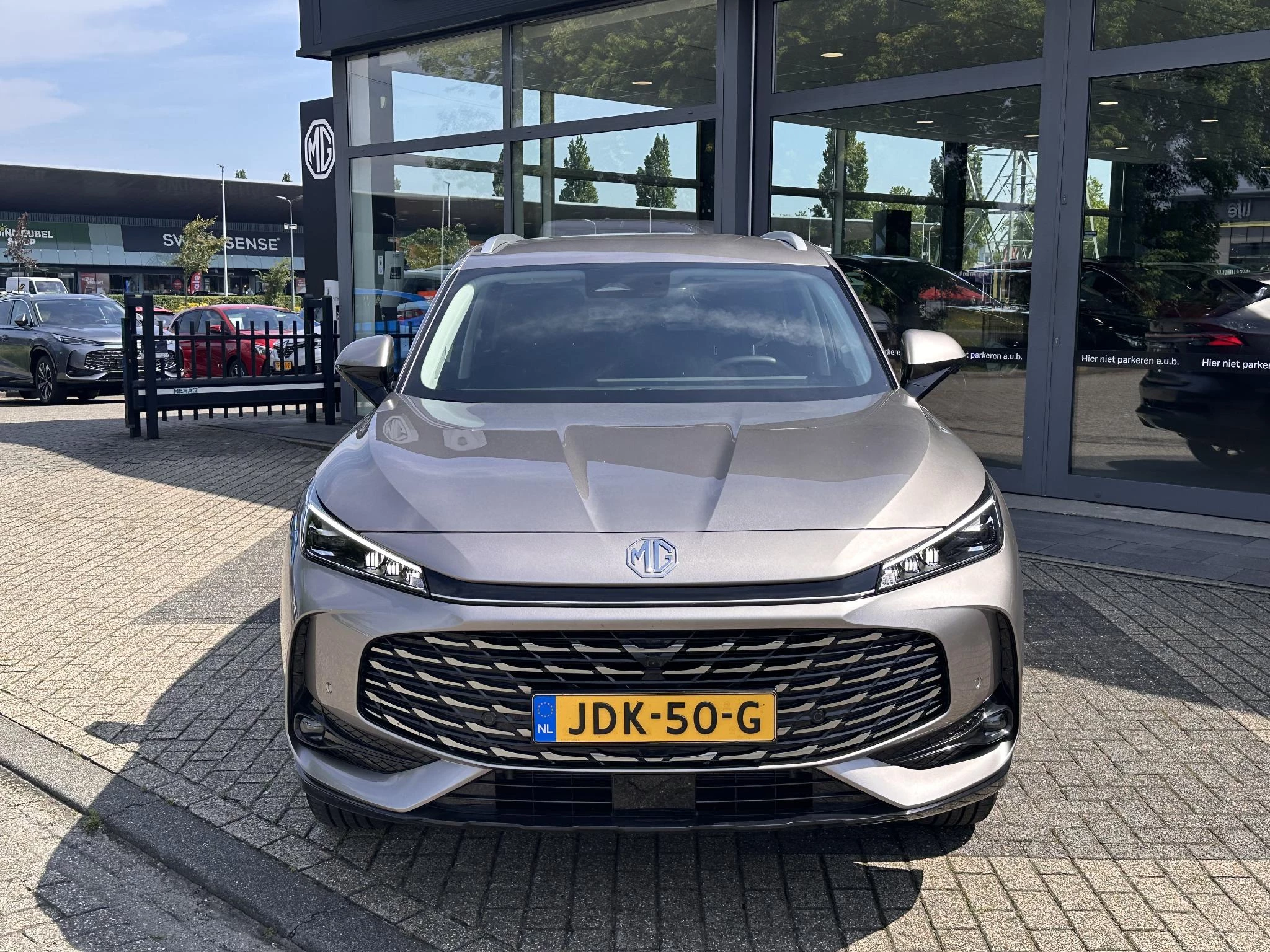 MG-HS-image-3