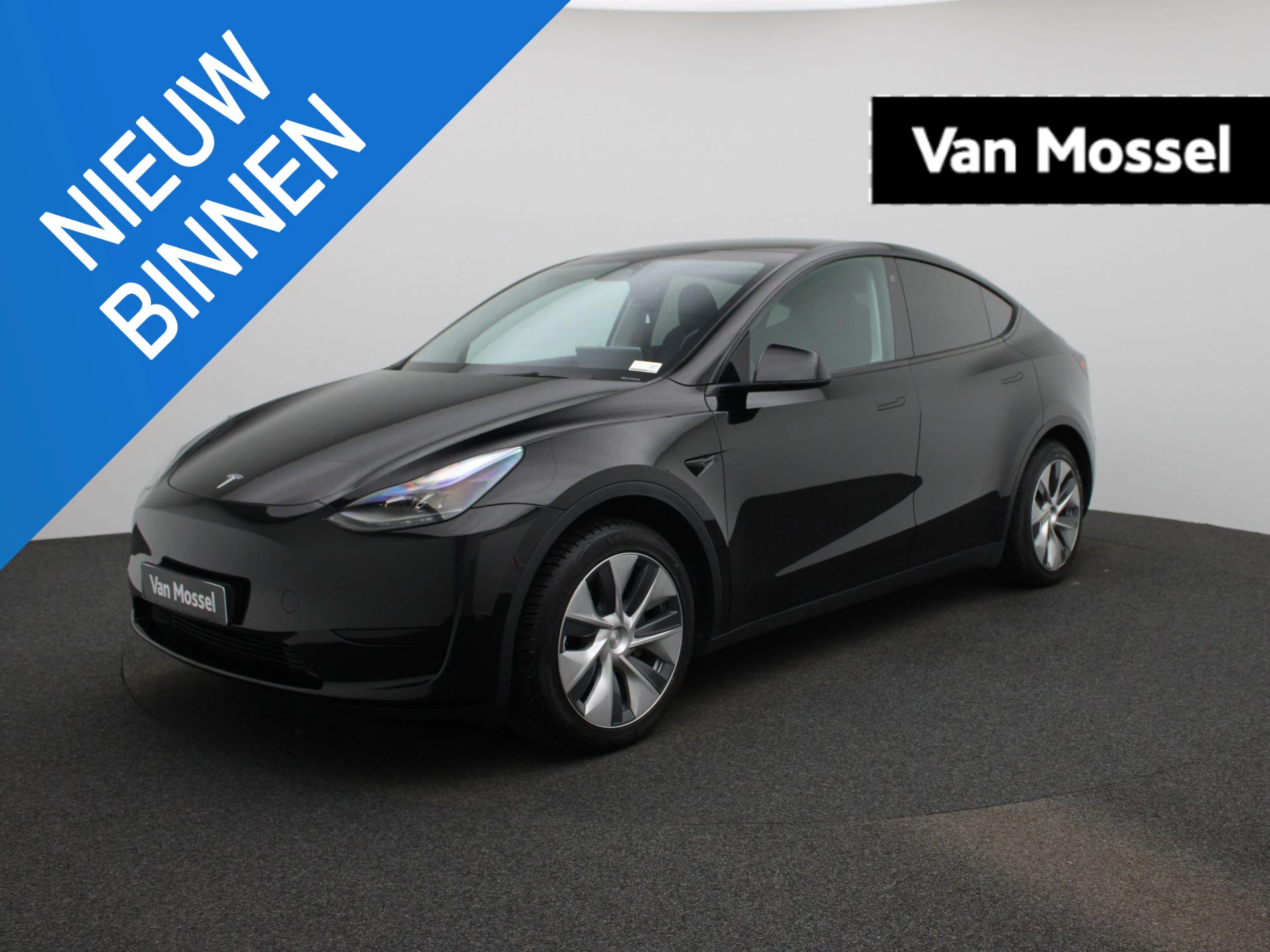 Tesla-Model Y-image-0