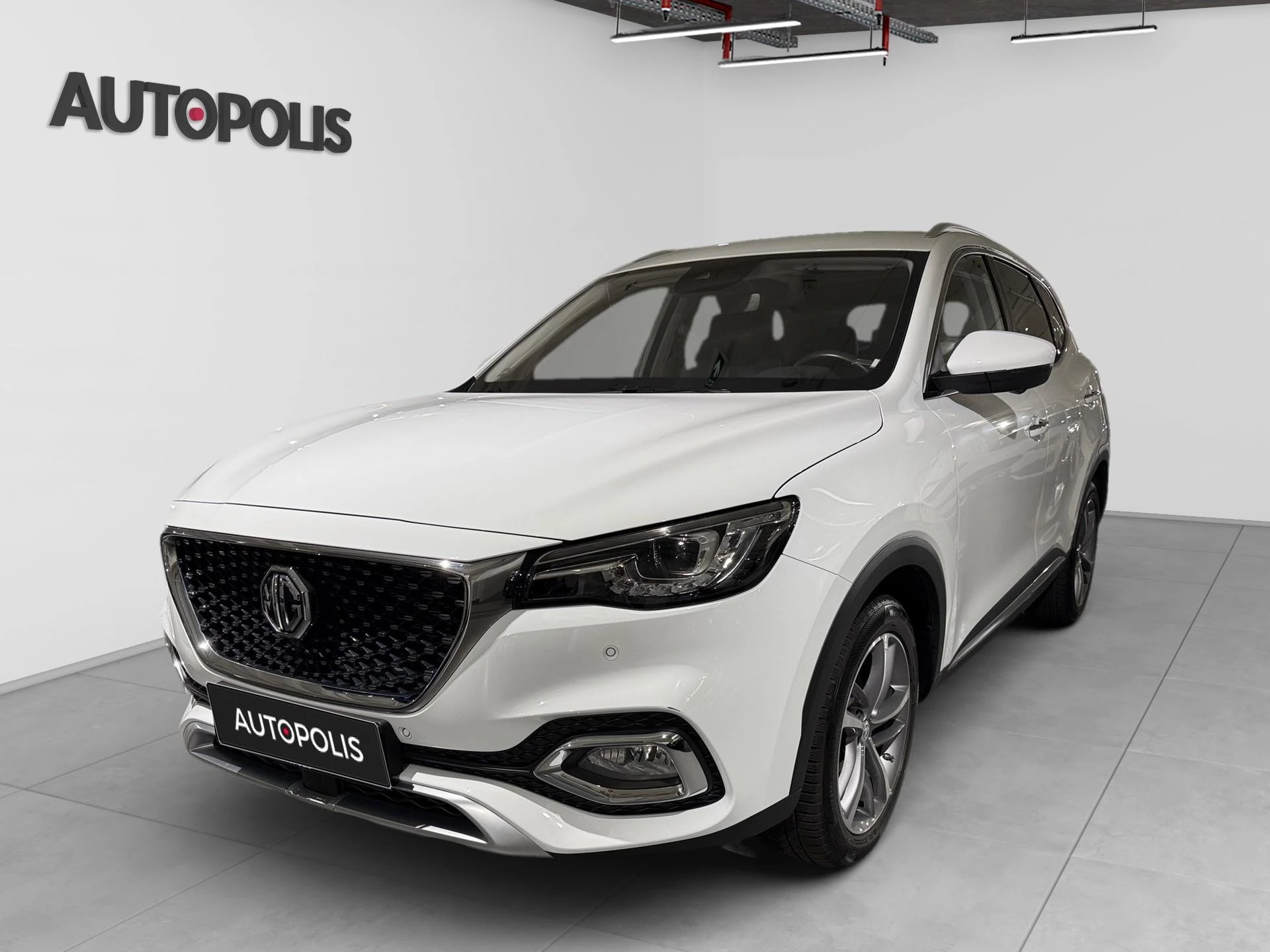 MG-EHS-image-0