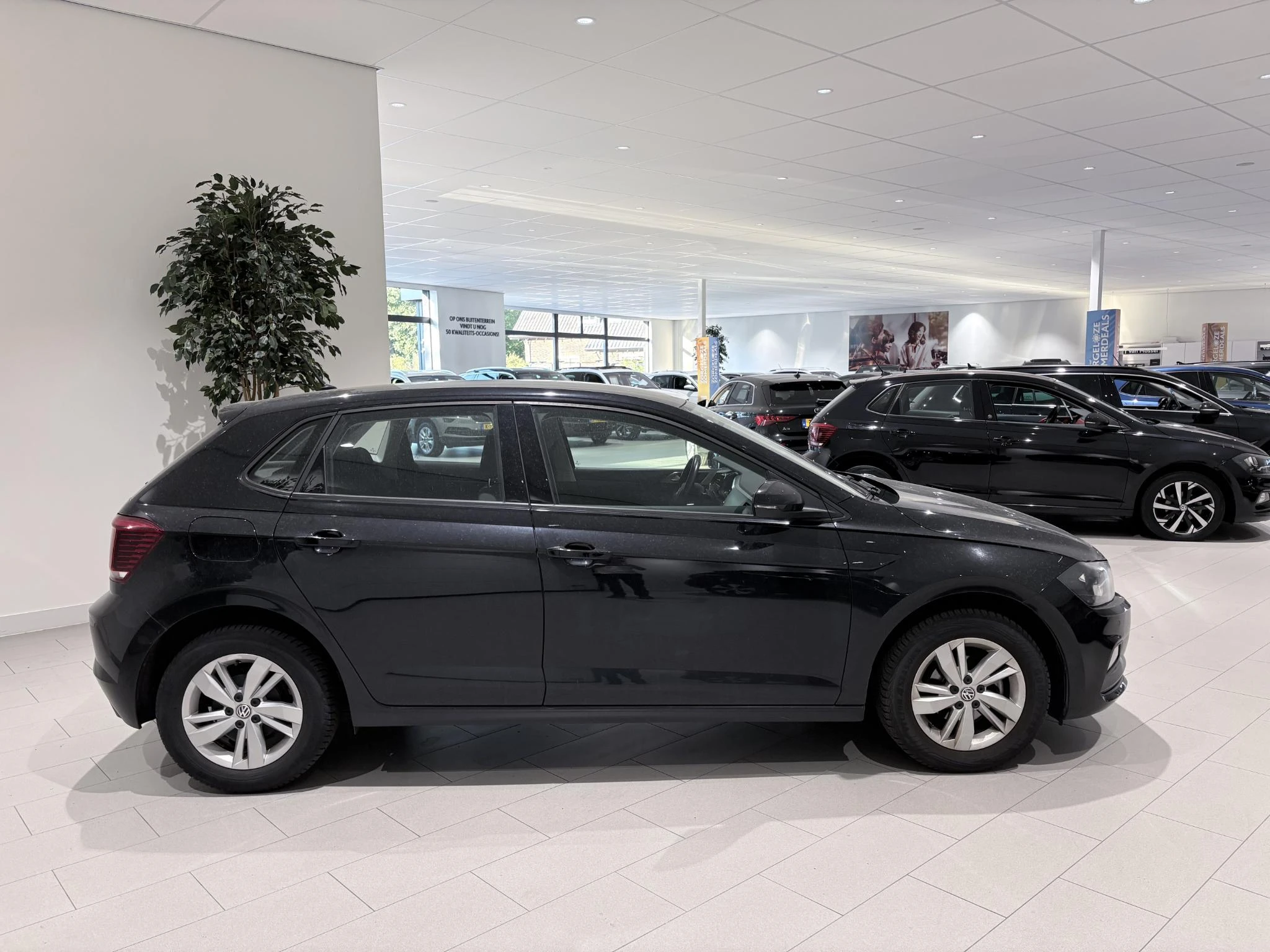 Volkswagen-Polo-image-4