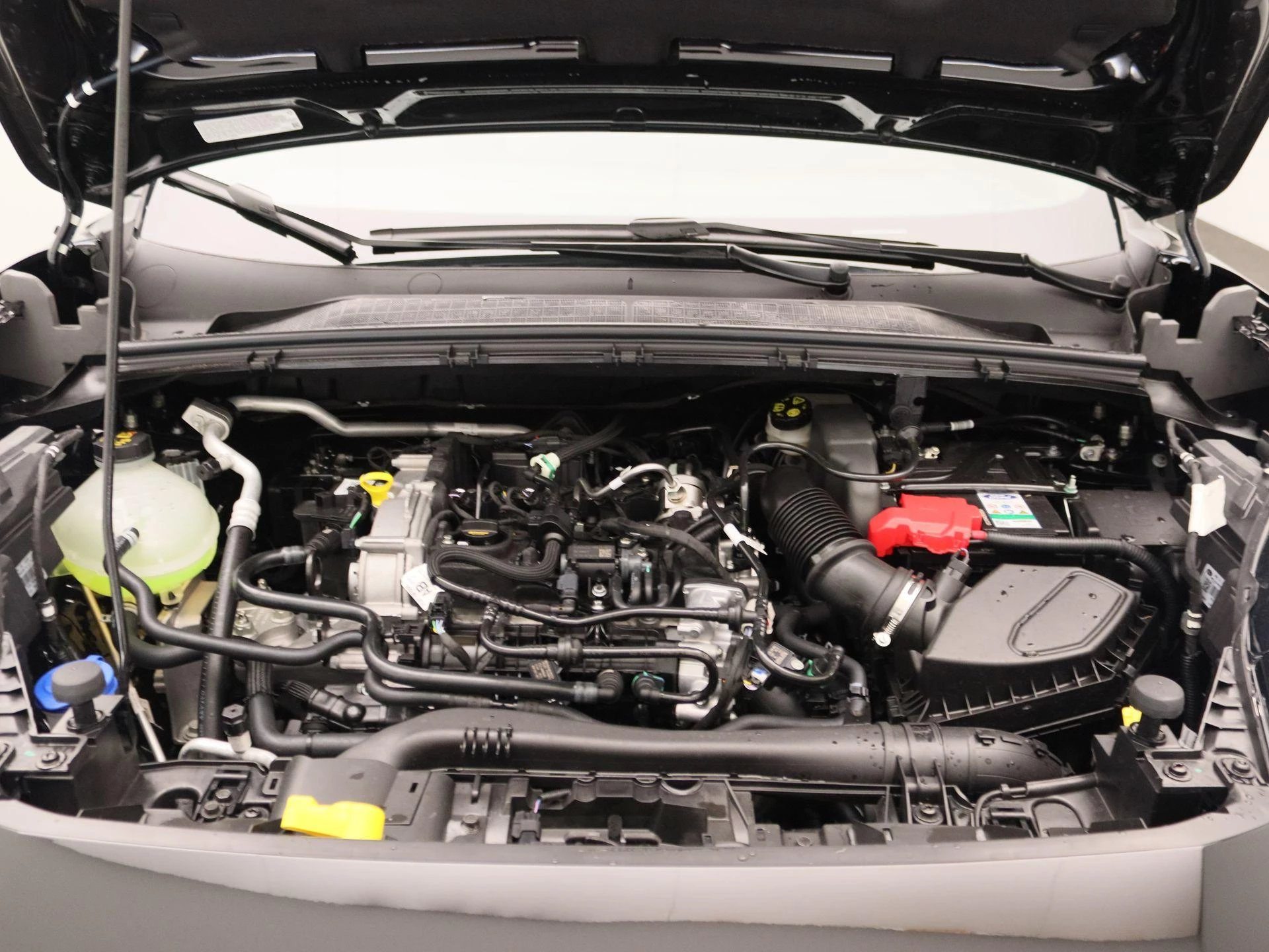 Ford-Puma-image-25