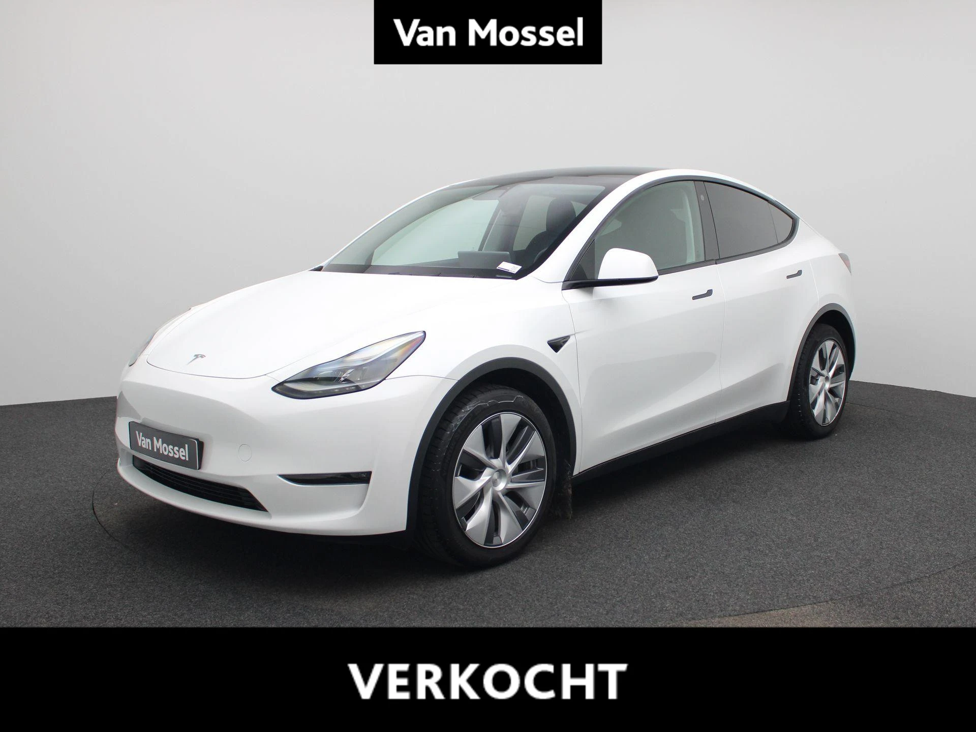 Tesla-Model Y-image-0