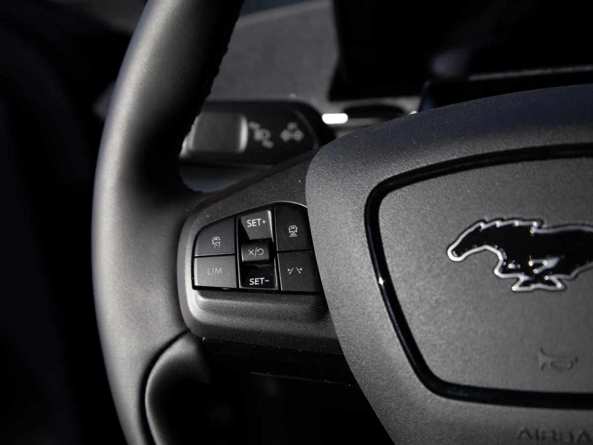 Ford-Mustang Mach-E-image-17