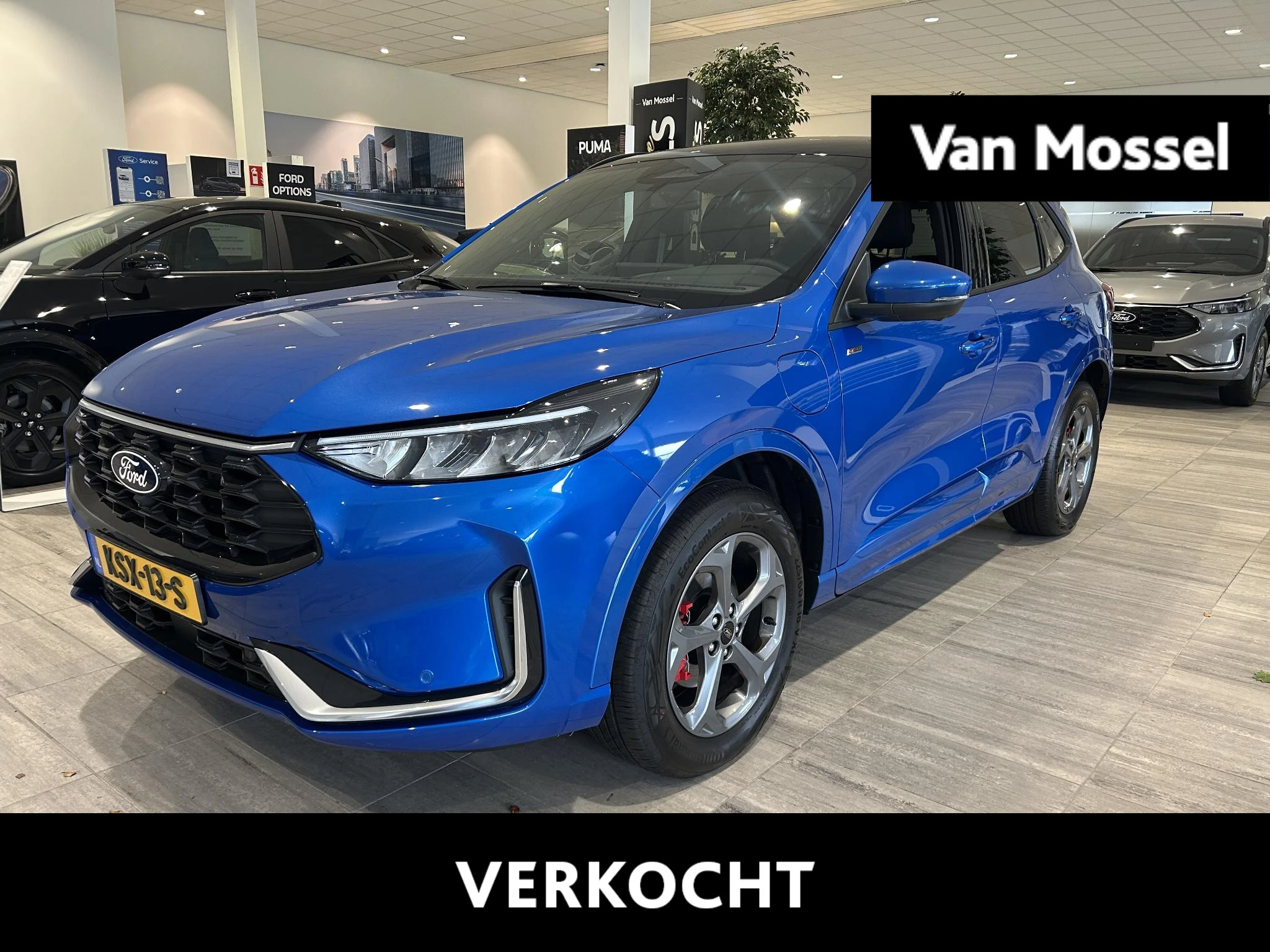 Ford-Kuga-image-0
