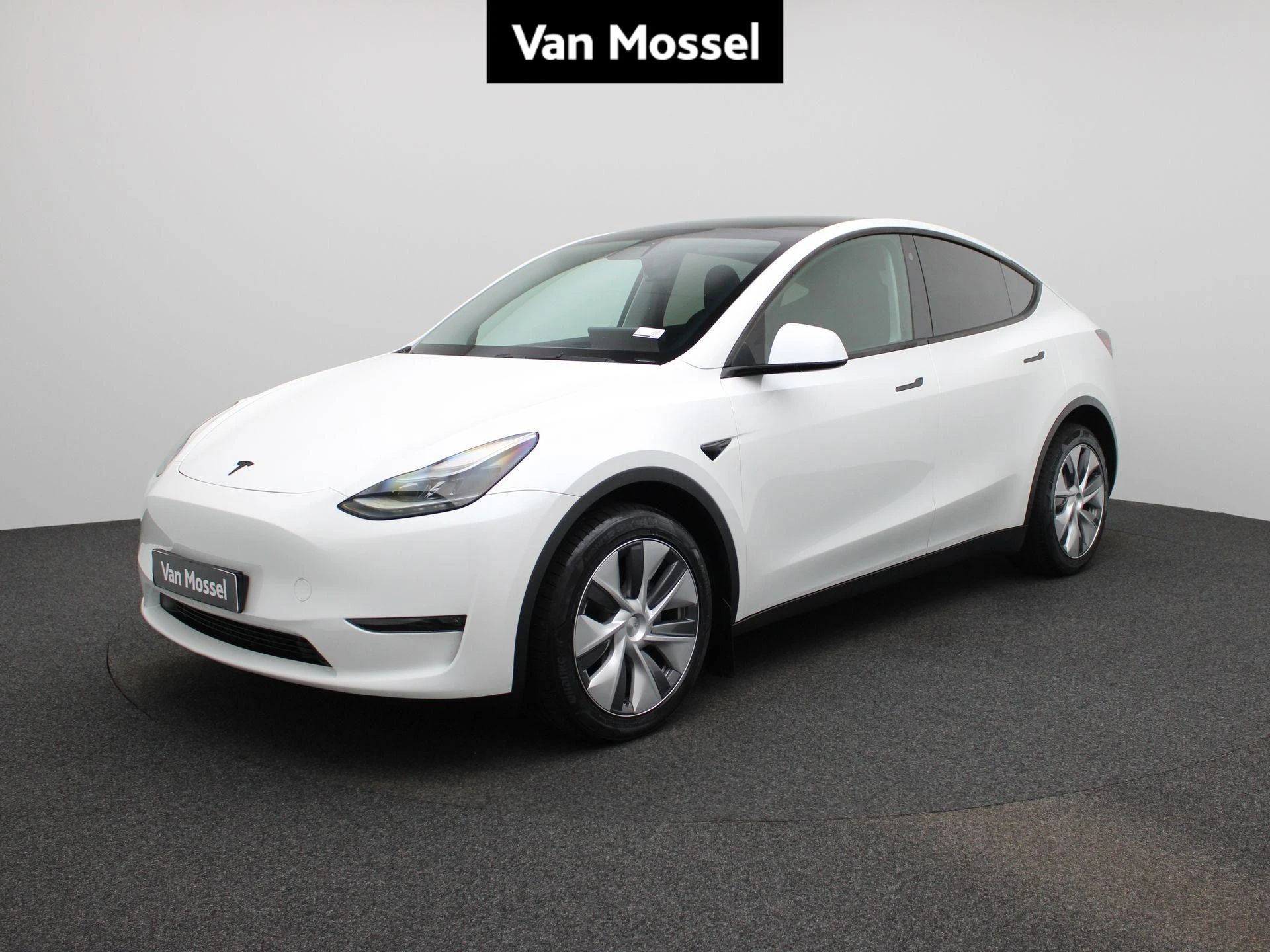 Tesla-Model Y-image-0