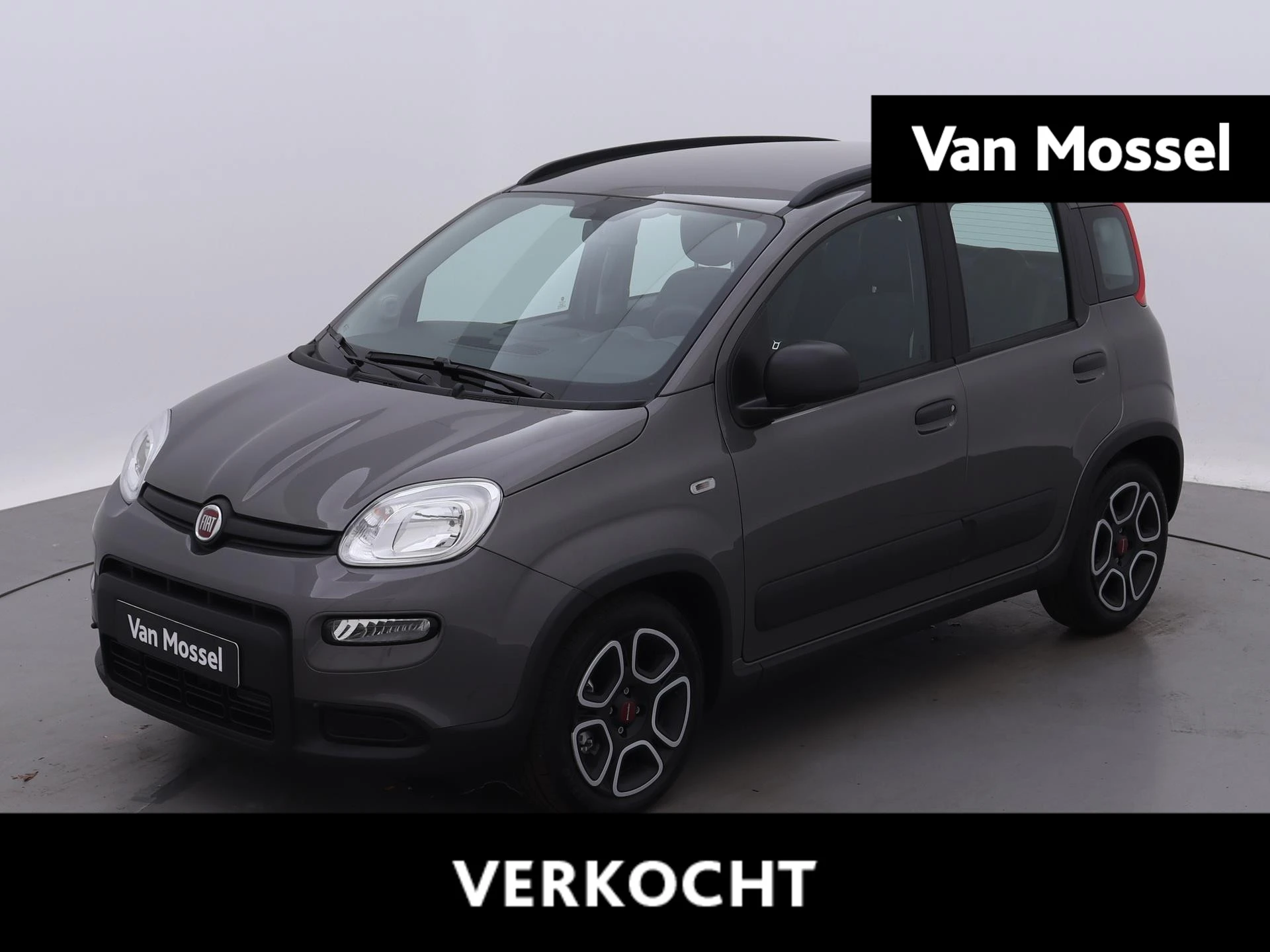 Fiat-Panda-image-0