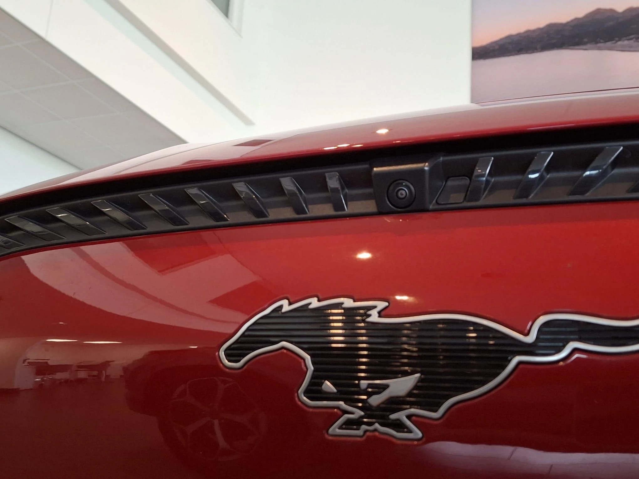 Ford-Mustang Mach-E-image-9