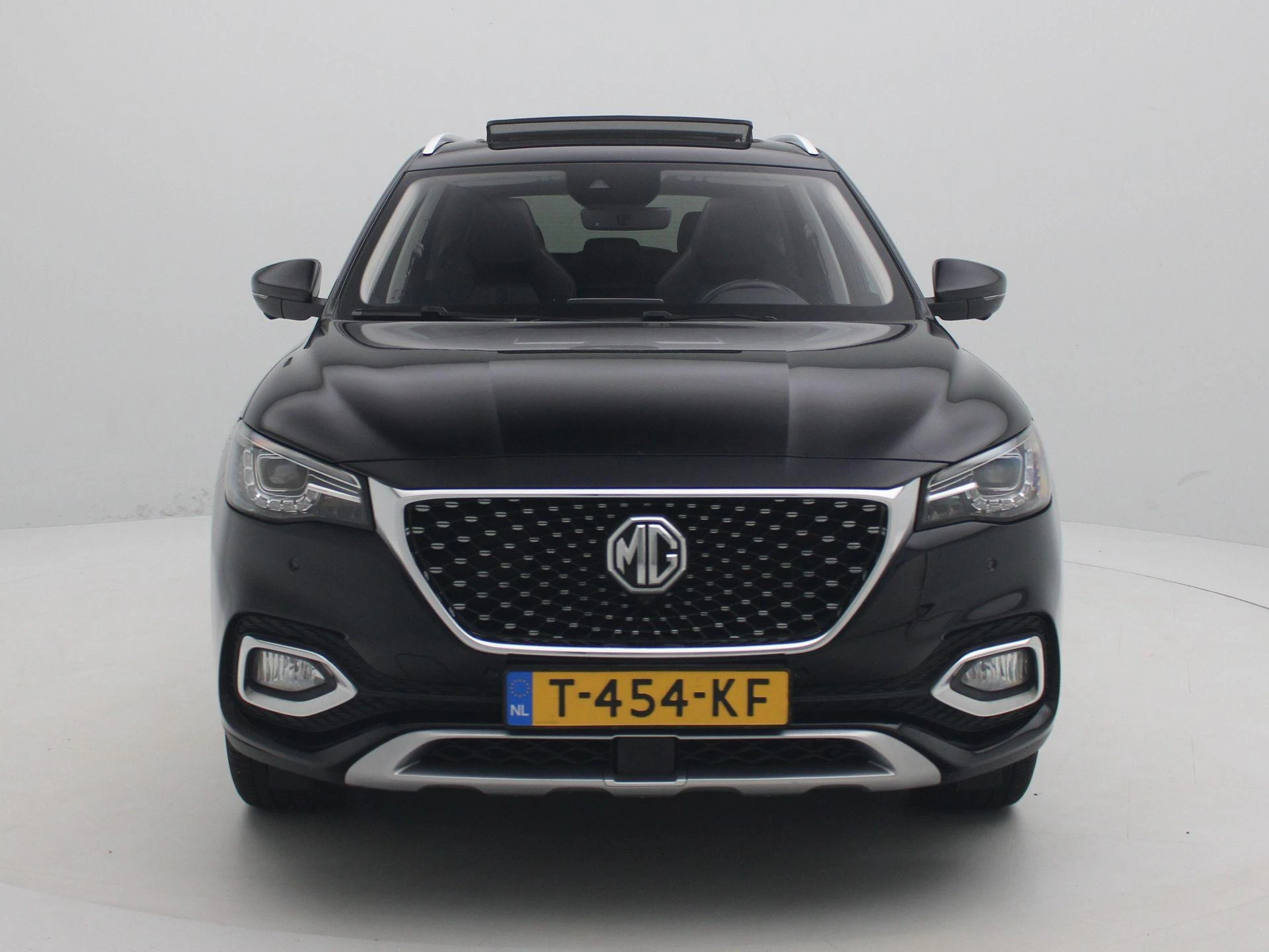 MG-EHS-image-2