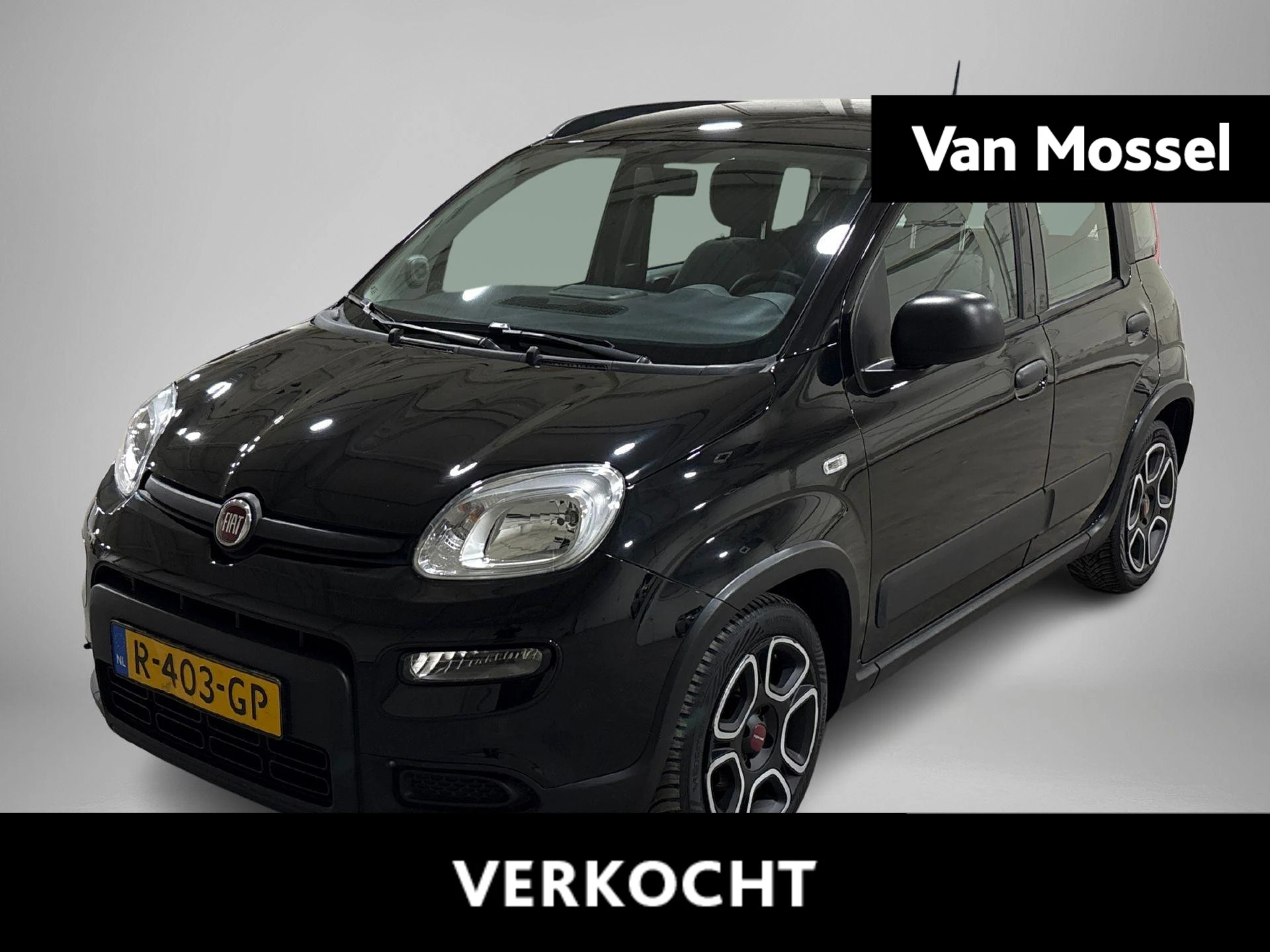 Fiat-Panda-image-0