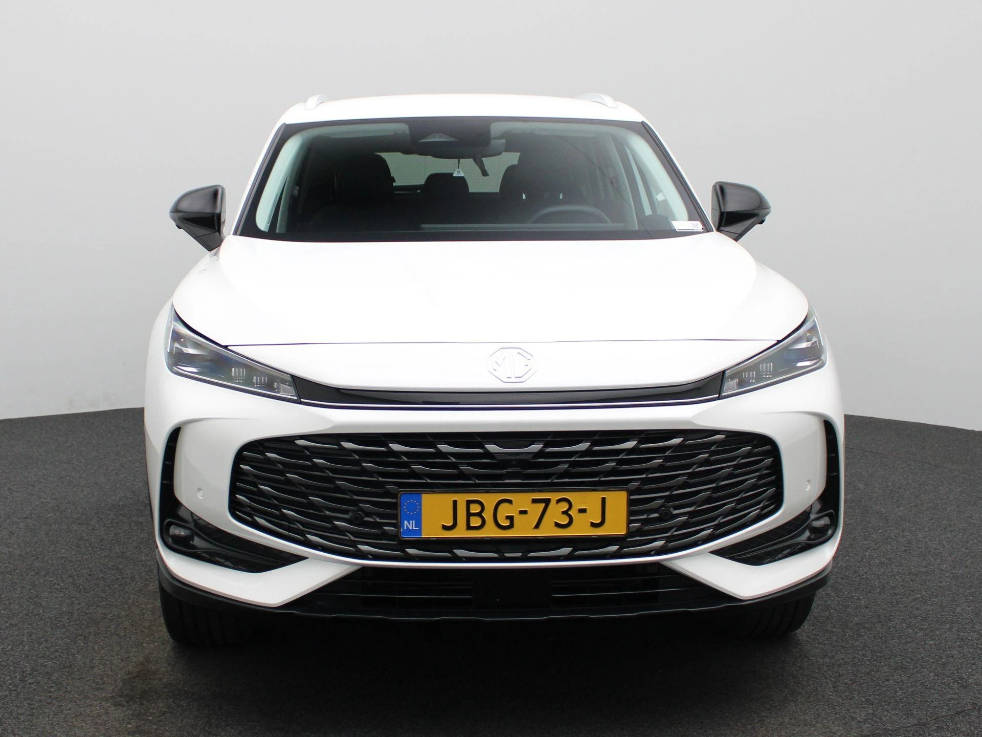 MG-HS-image-2