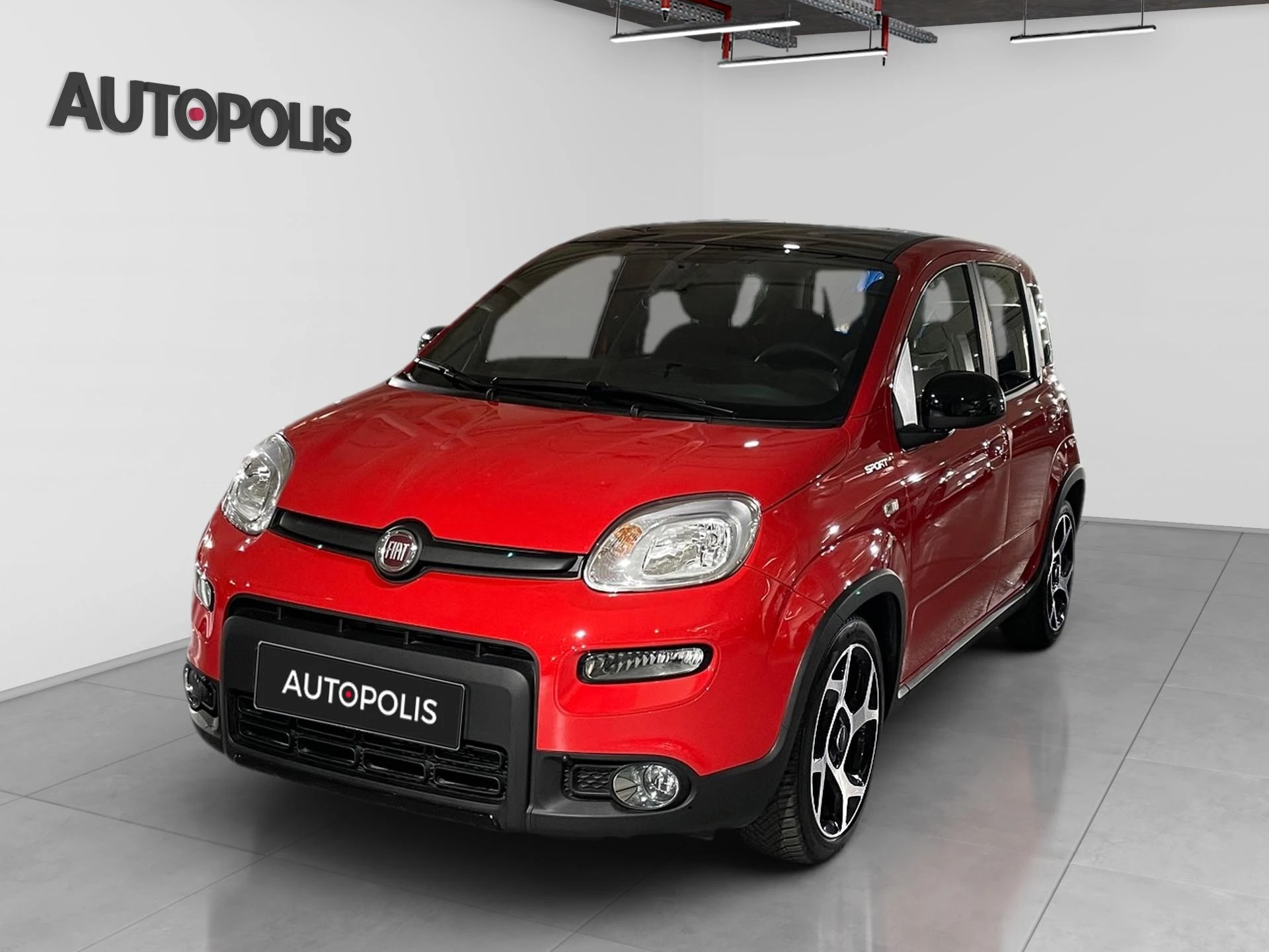 Fiat-Panda-image-16