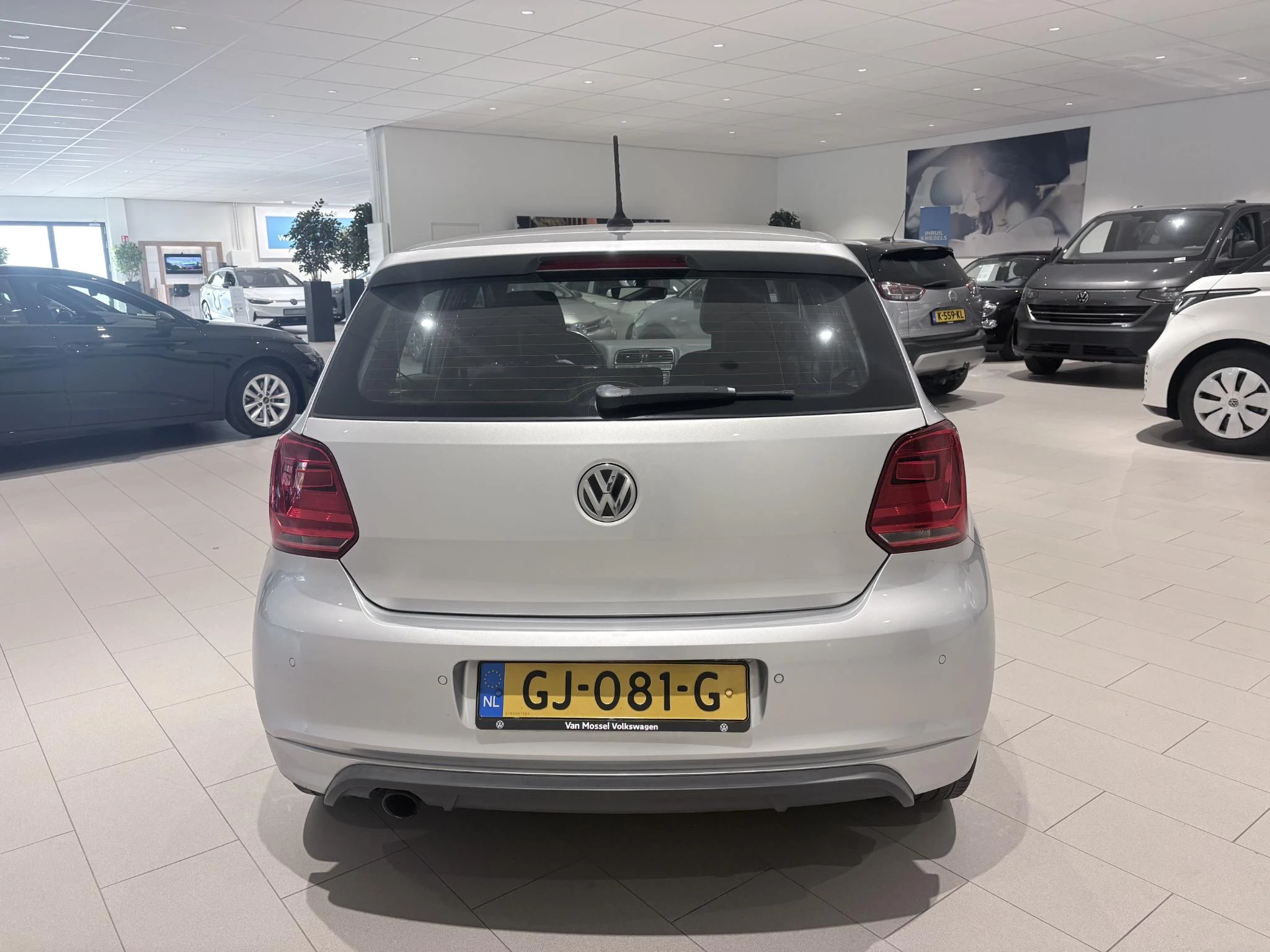 Volkswagen-Polo-image-3