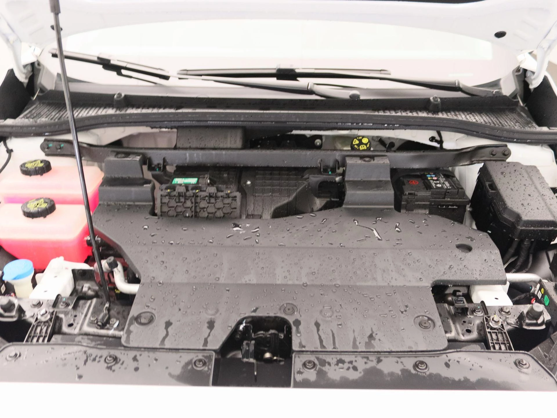MG-MG4 EV-image-25