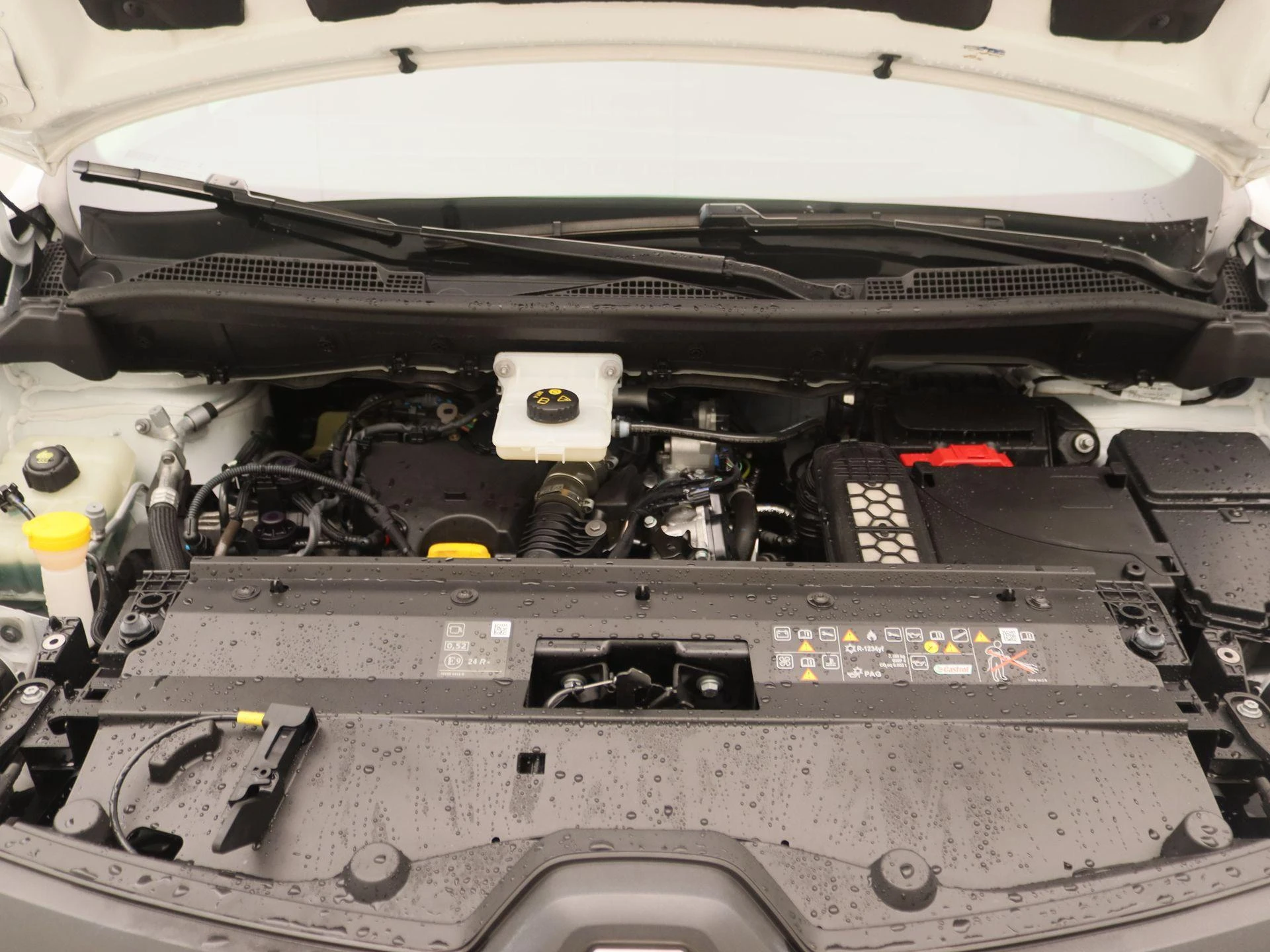 Renault-Kangoo-image-22
