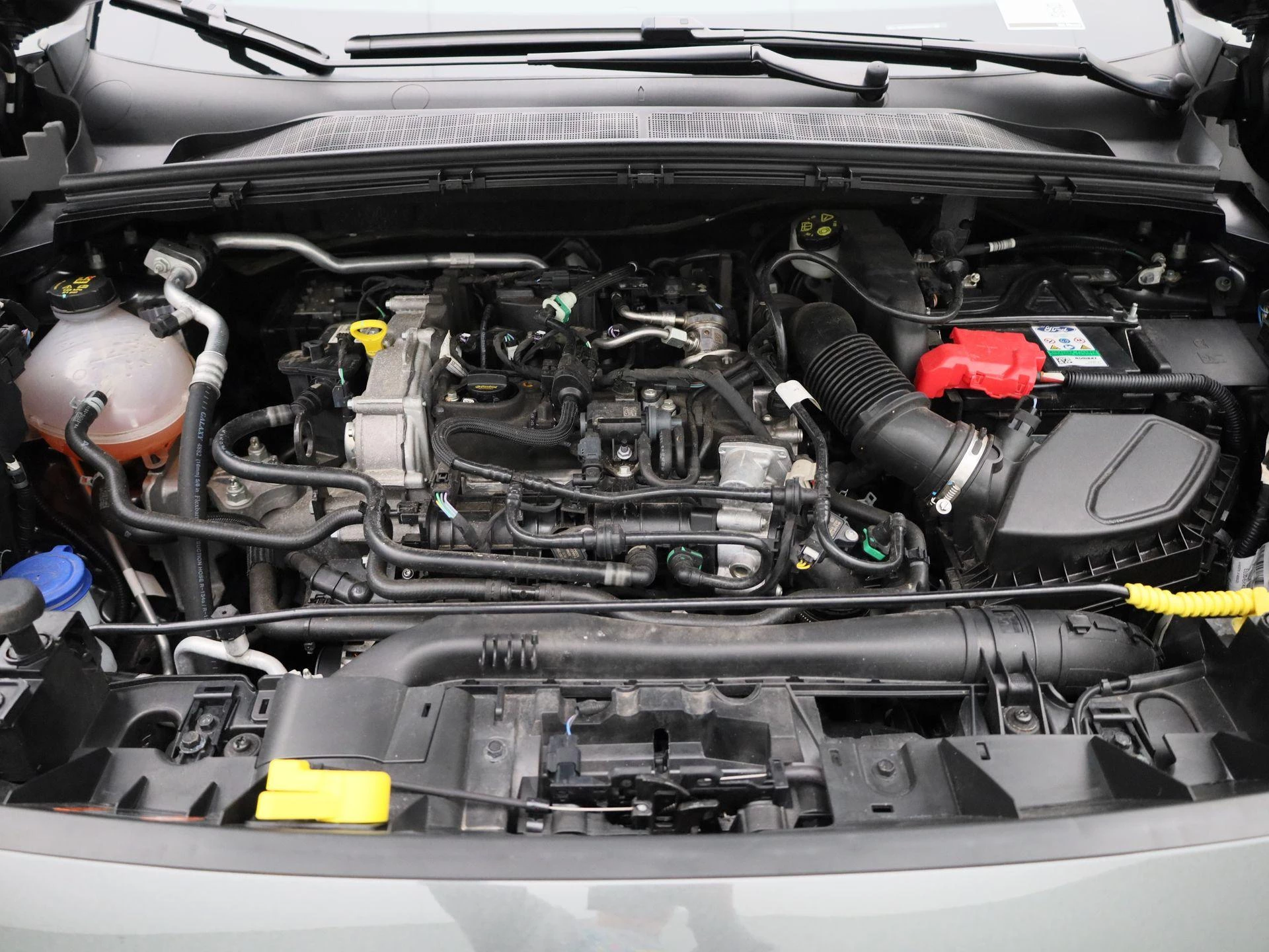 Ford-Puma-image-31