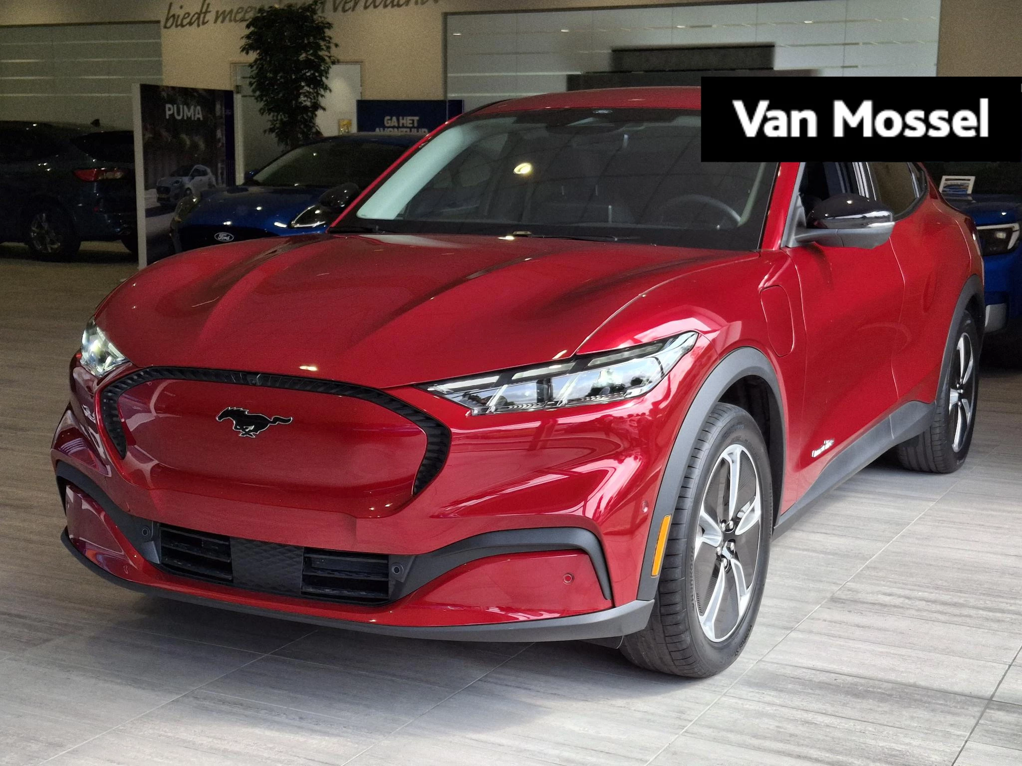 Ford-Mustang Mach-E-image-0