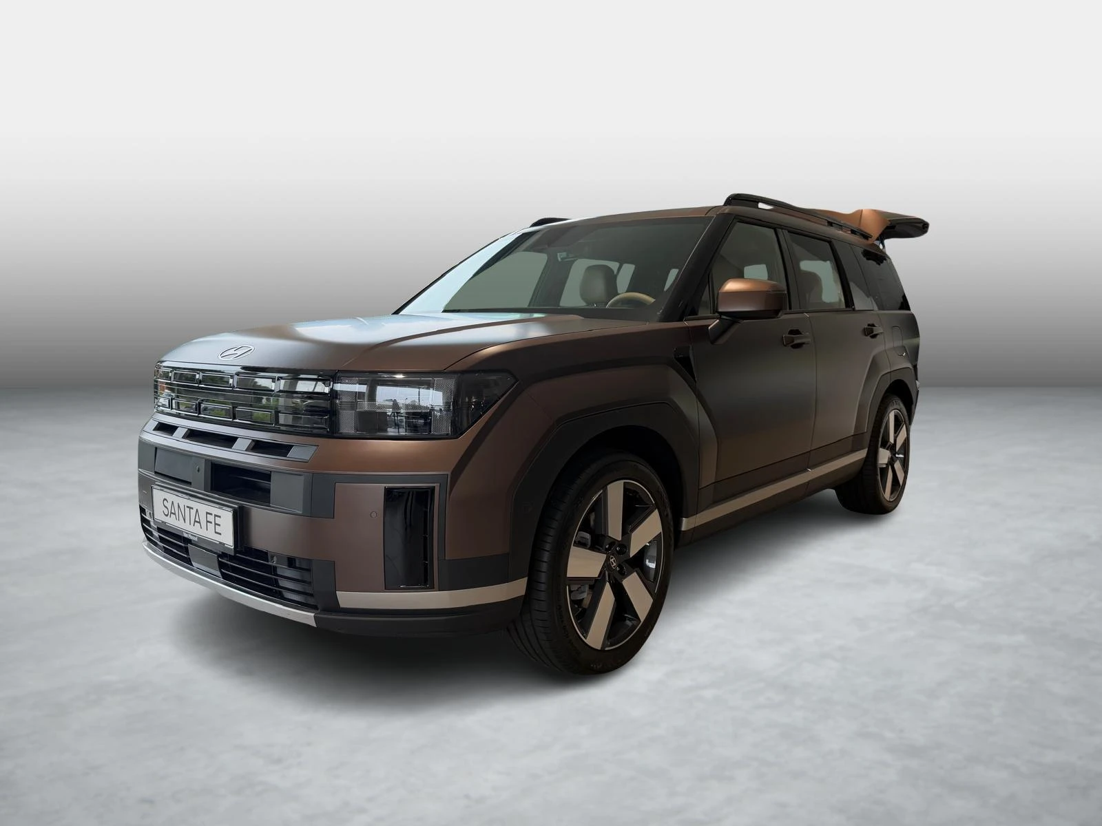 Hyundai-Santa Fe-image-2